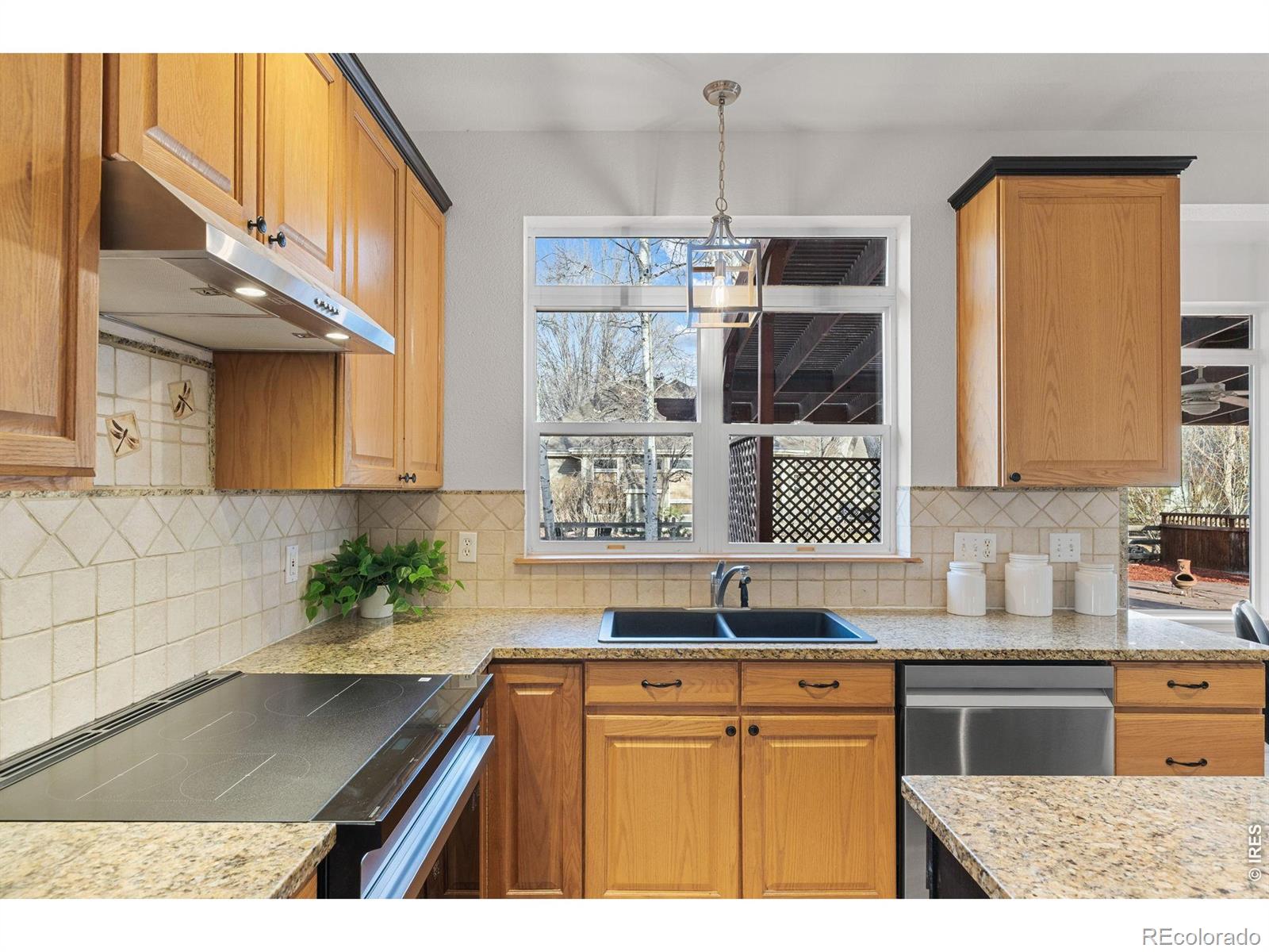 MLS Image #14 for 2307  bluebird drive,longmont, Colorado