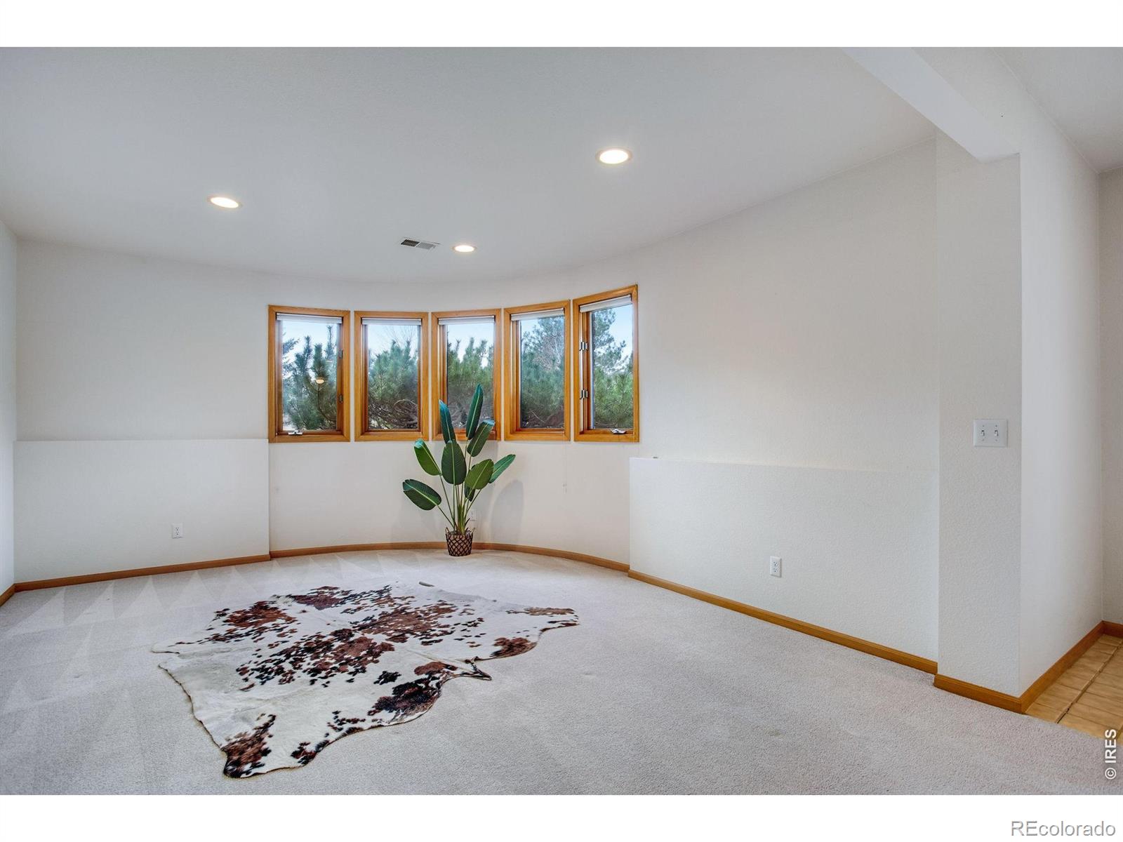 MLS Image #44 for 6230  eagle ridge court,fort collins, Colorado