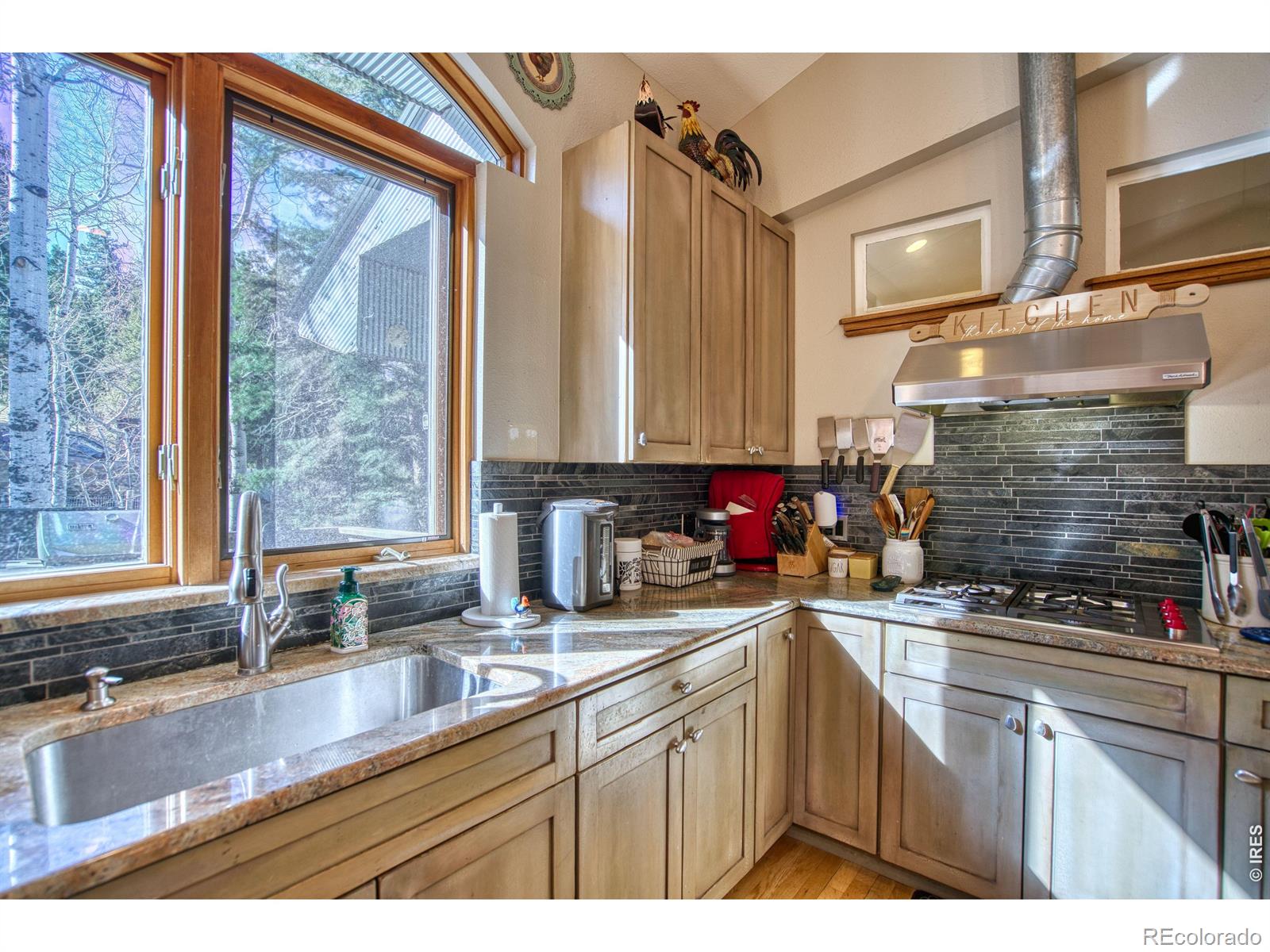 MLS Image #14 for 226  juniper heights road,golden, Colorado