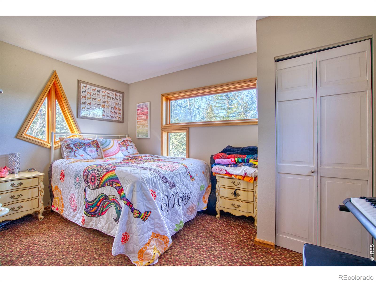 MLS Image #17 for 226  juniper heights road,golden, Colorado