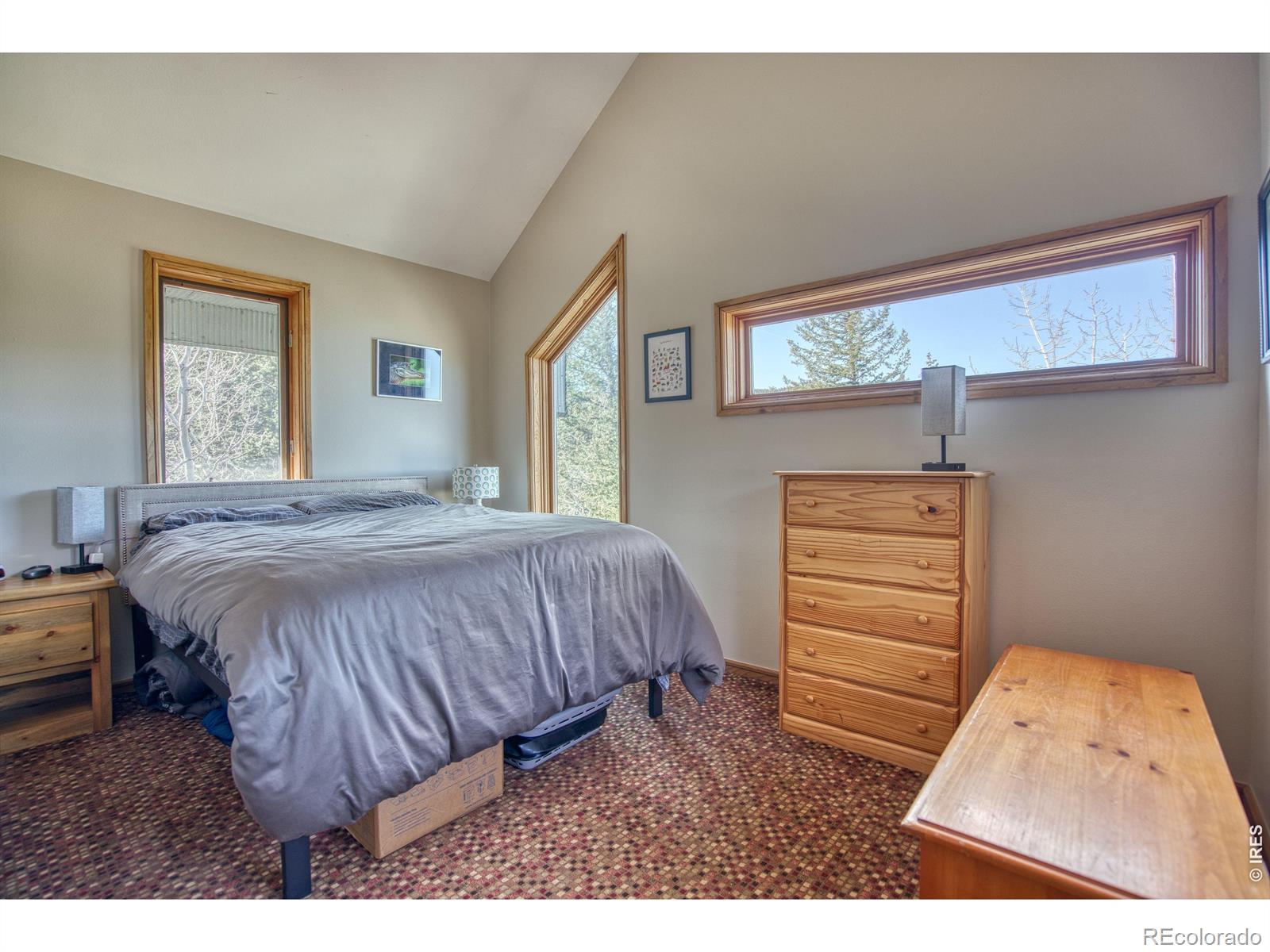 MLS Image #18 for 226  juniper heights road,golden, Colorado
