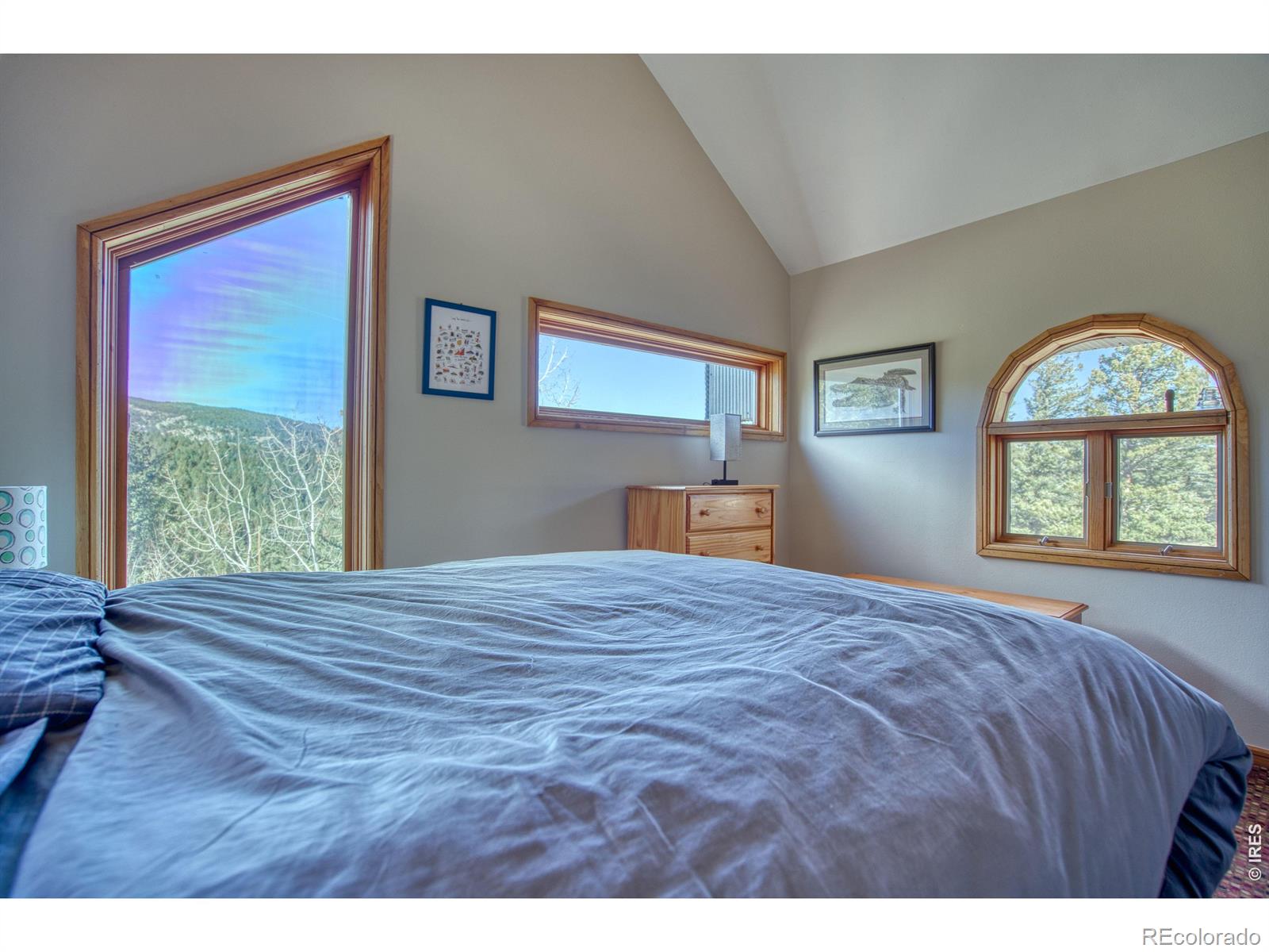 MLS Image #19 for 226  juniper heights road,golden, Colorado