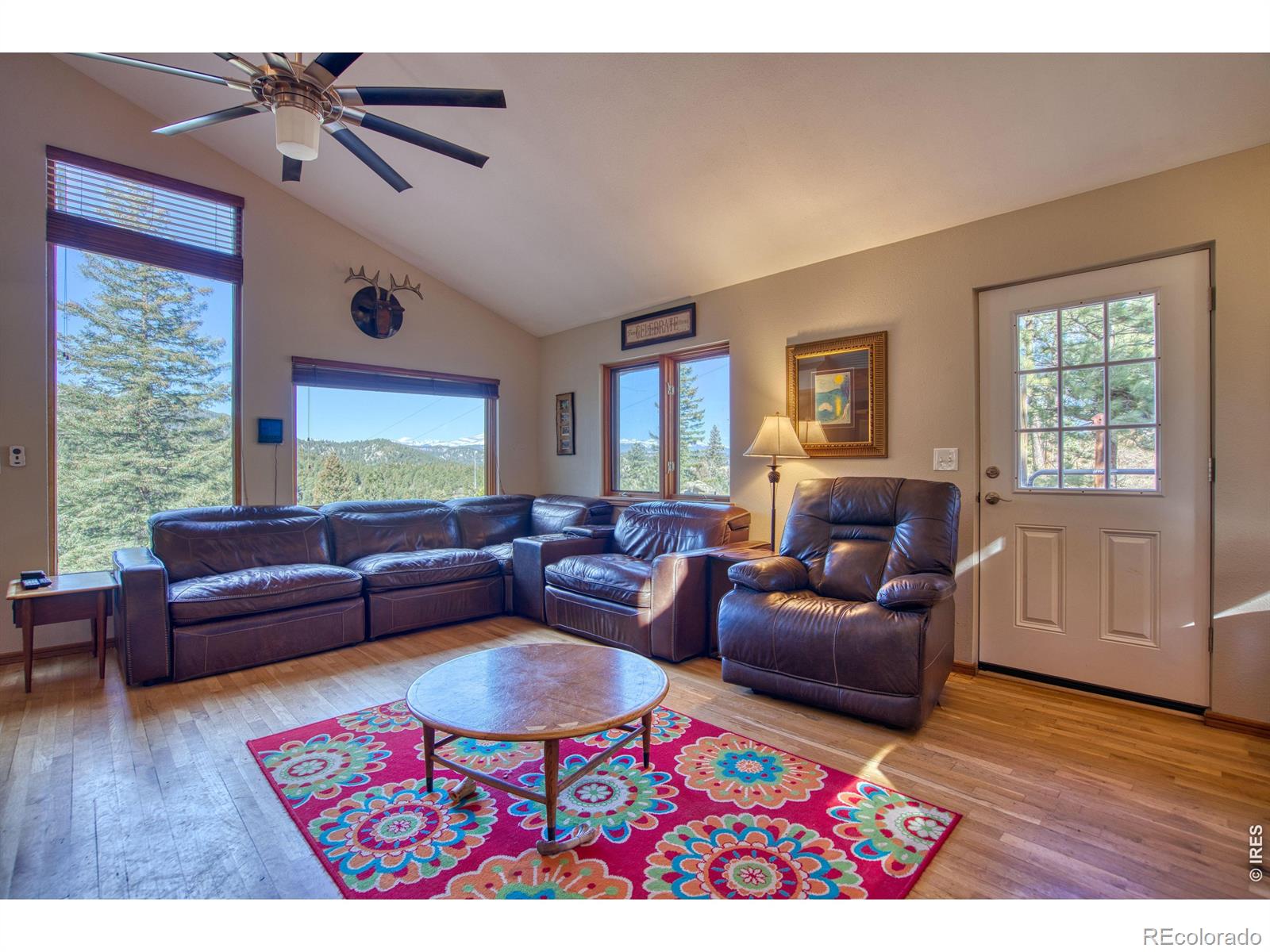 MLS Image #6 for 226  juniper heights road,golden, Colorado