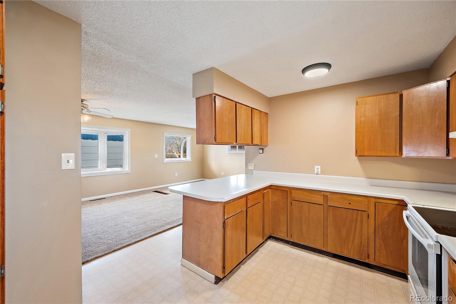MLS Image #12 for 303  solar drive,colorado springs, Colorado