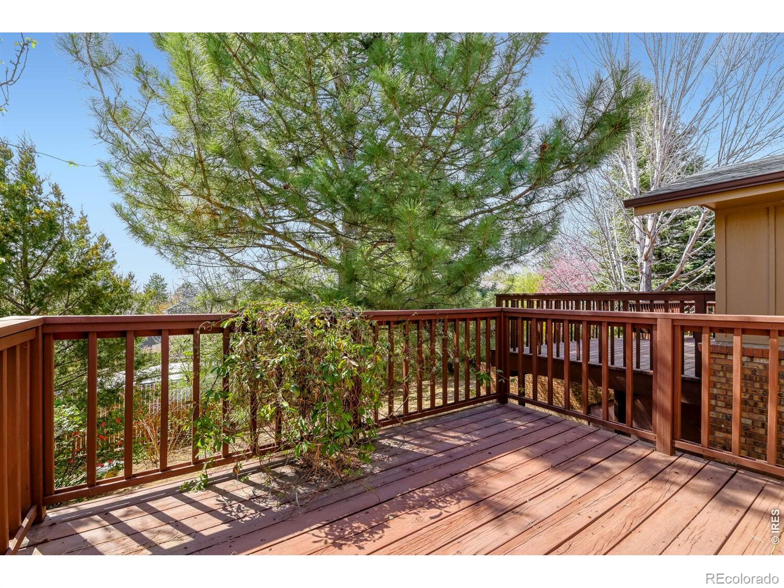 MLS Image #23 for 1123  fordham street,longmont, Colorado
