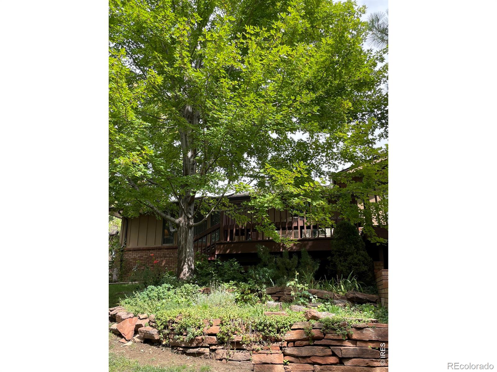 MLS Image #28 for 1123  fordham street,longmont, Colorado