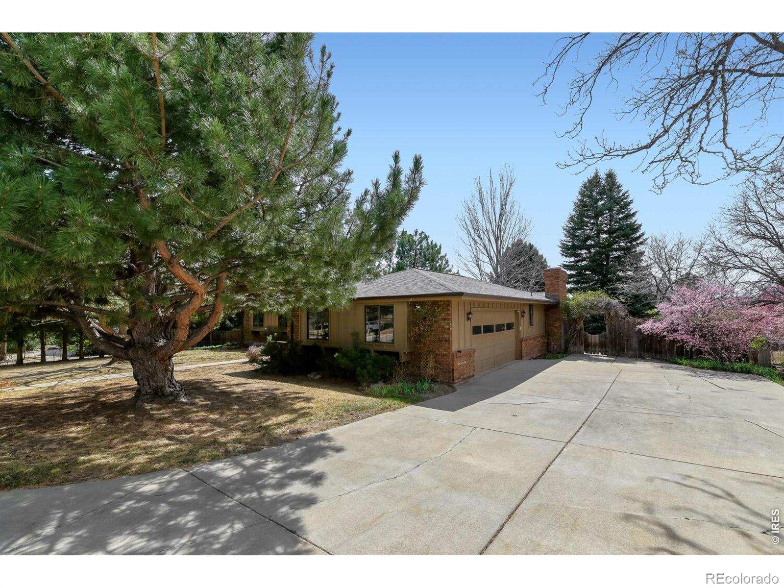 MLS Image #29 for 1123  fordham street,longmont, Colorado