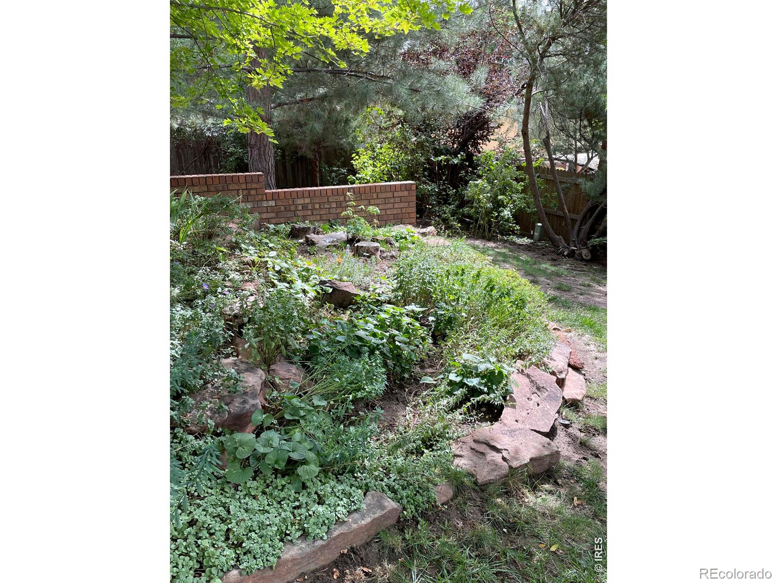 MLS Image #34 for 1123  fordham street,longmont, Colorado