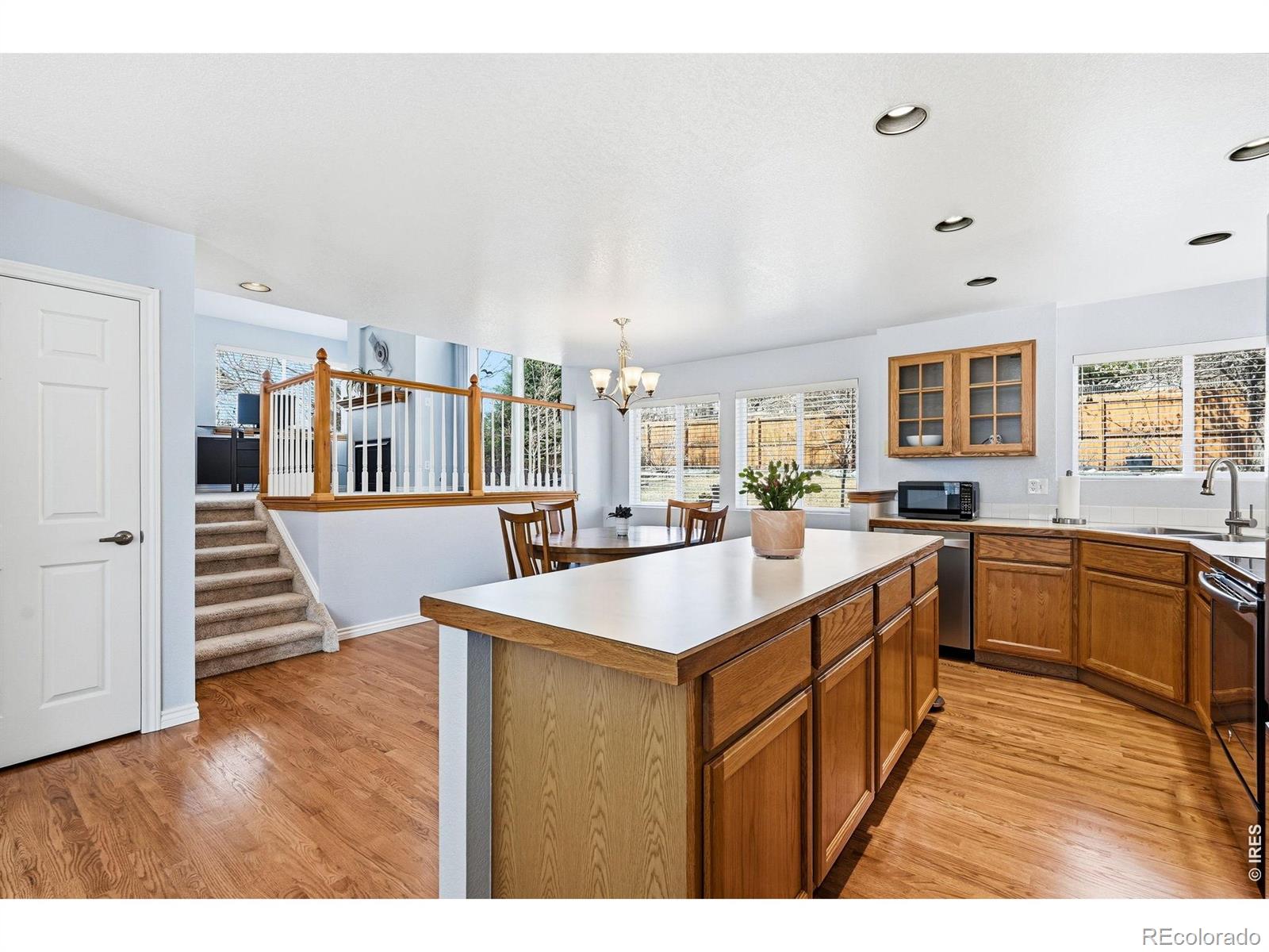 MLS Image #12 for 788  nighthawk circle,louisville, Colorado