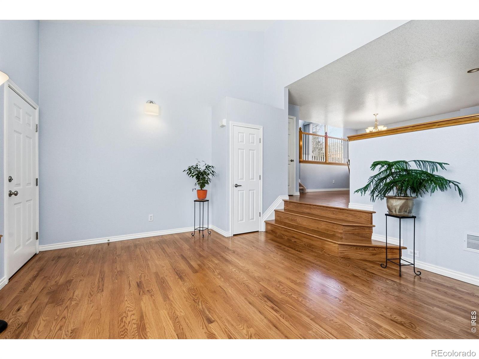 MLS Image #5 for 788  nighthawk circle,louisville, Colorado