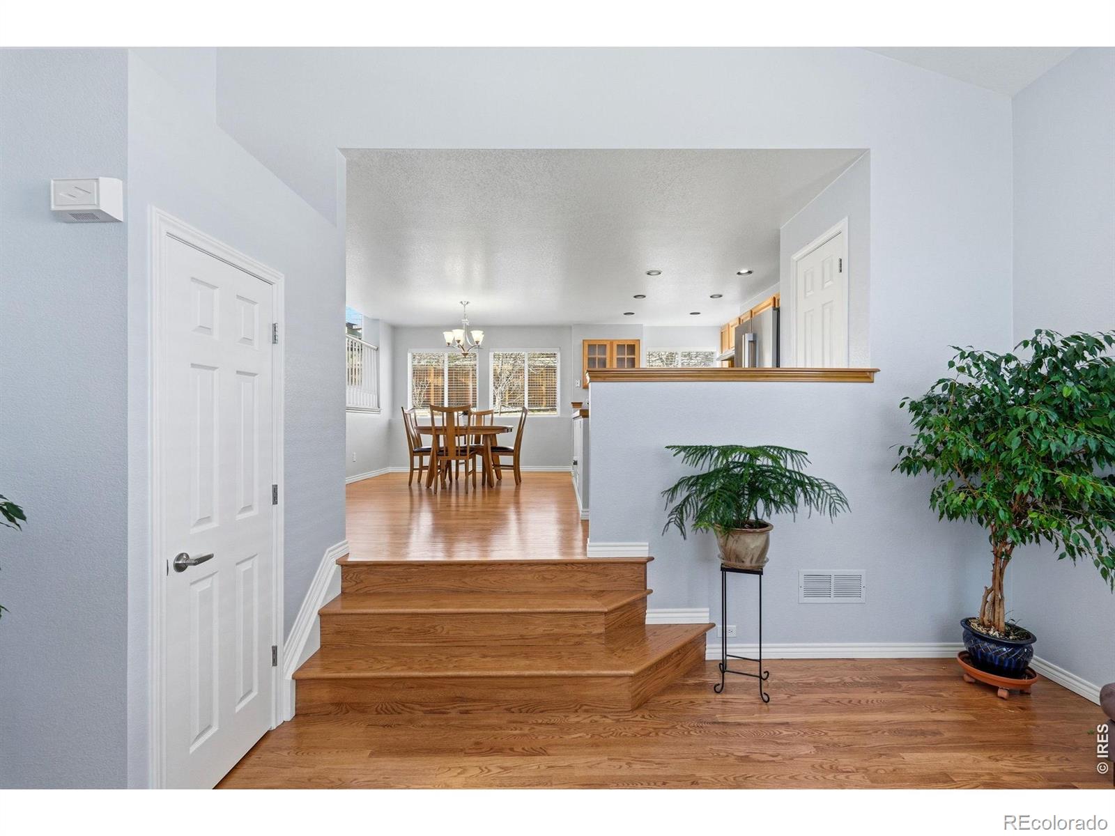 MLS Image #6 for 788  nighthawk circle,louisville, Colorado