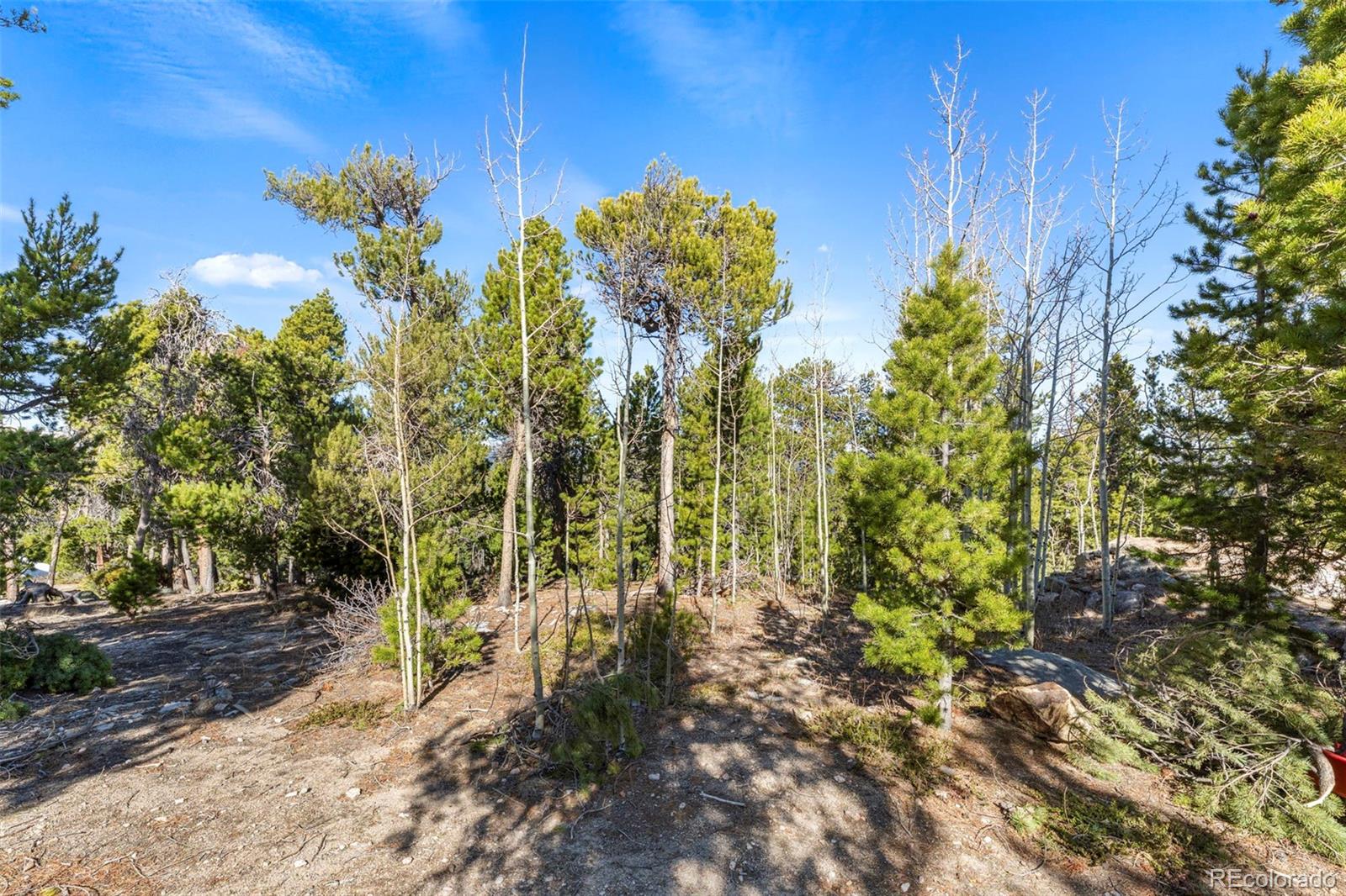 MLS Image #27 for 11  randall ridge road,black hawk, Colorado