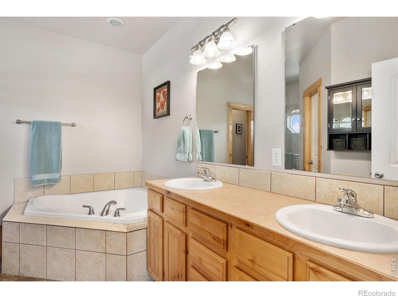 MLS Image #18 for 1303  park ridge drive,severance, Colorado