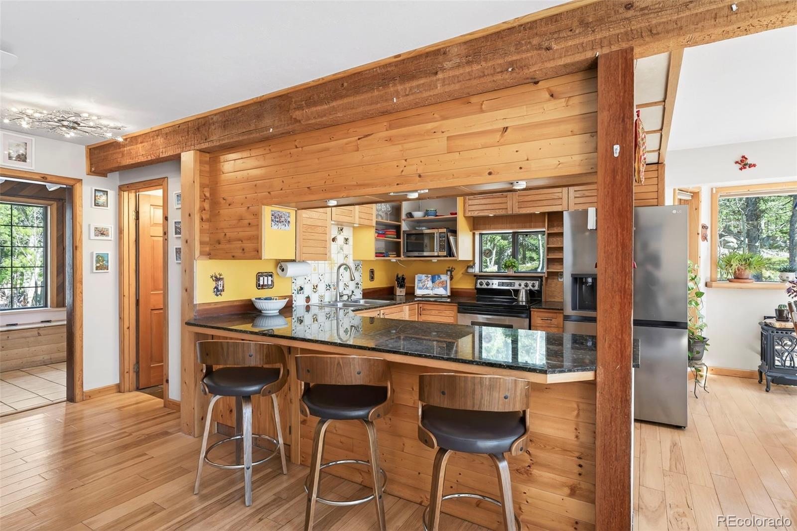 MLS Image #10 for 1856  ridge road,nederland, Colorado