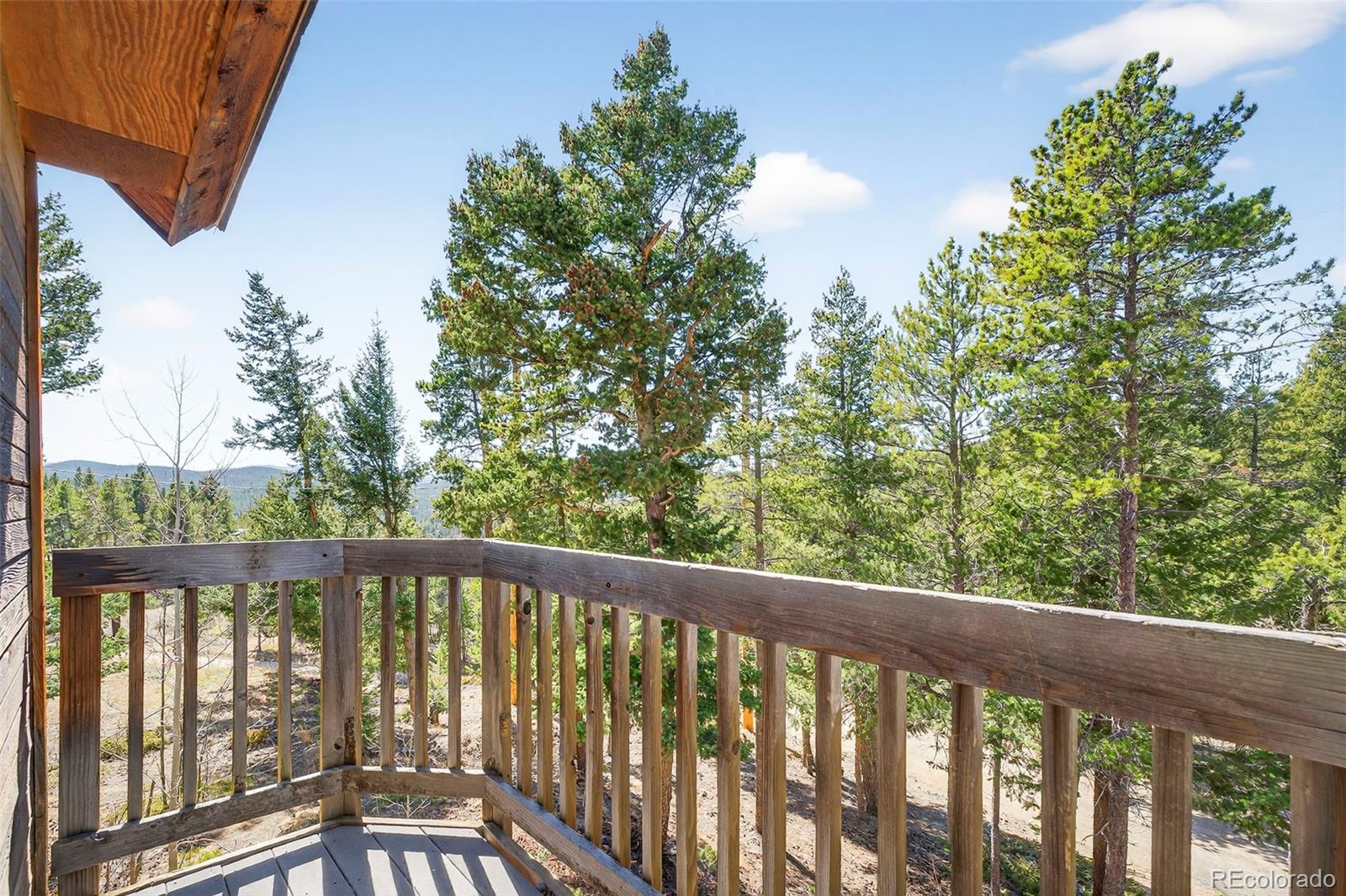 MLS Image #16 for 1856  ridge road,nederland, Colorado