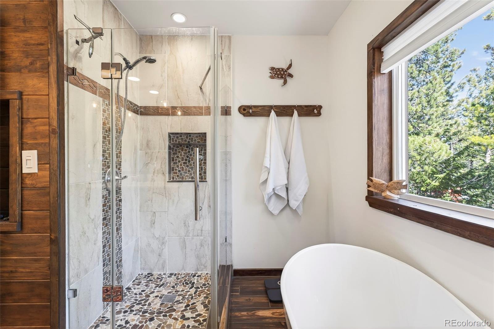 MLS Image #20 for 1856  ridge road,nederland, Colorado
