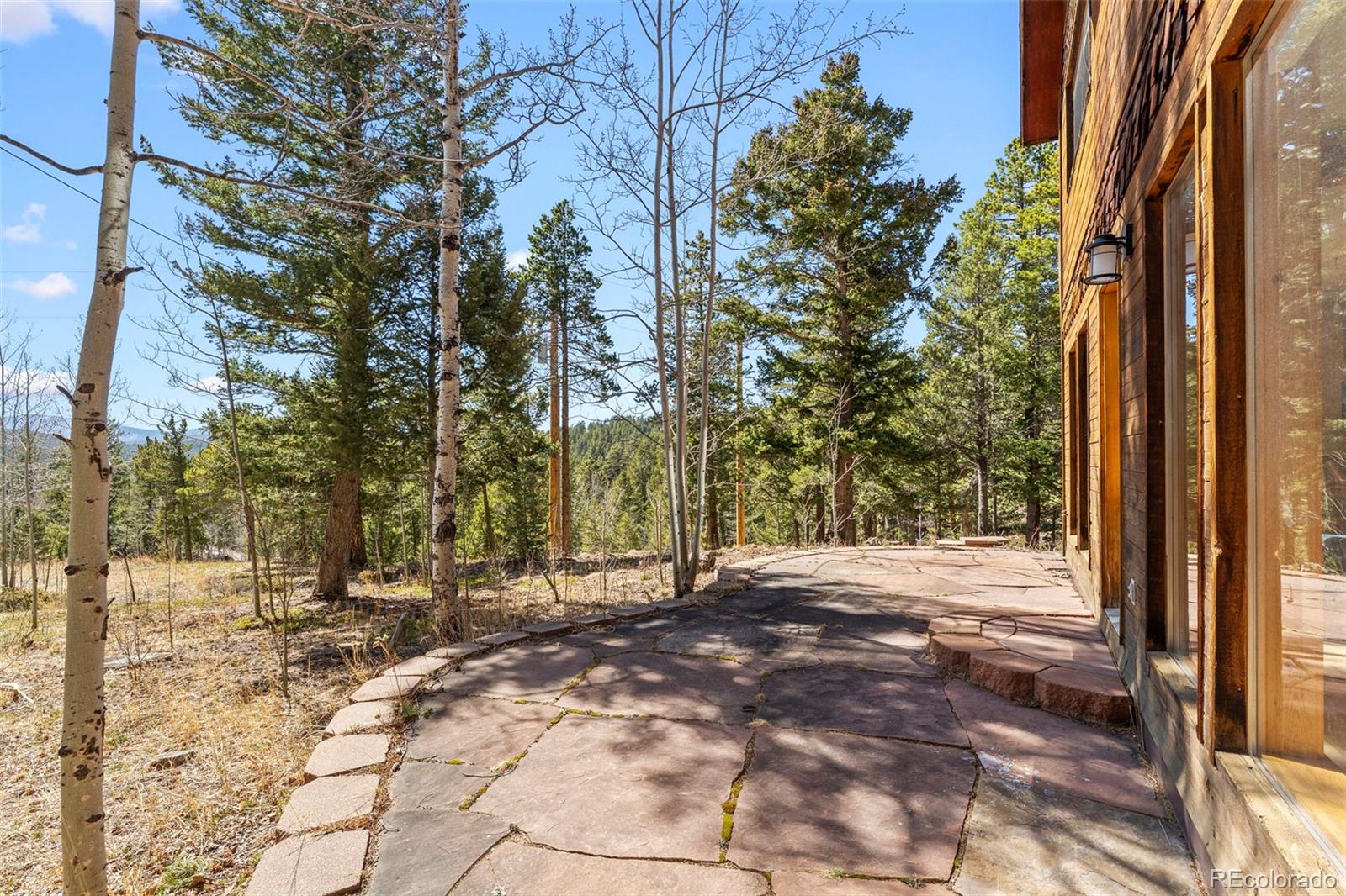 MLS Image #28 for 1856  ridge road,nederland, Colorado