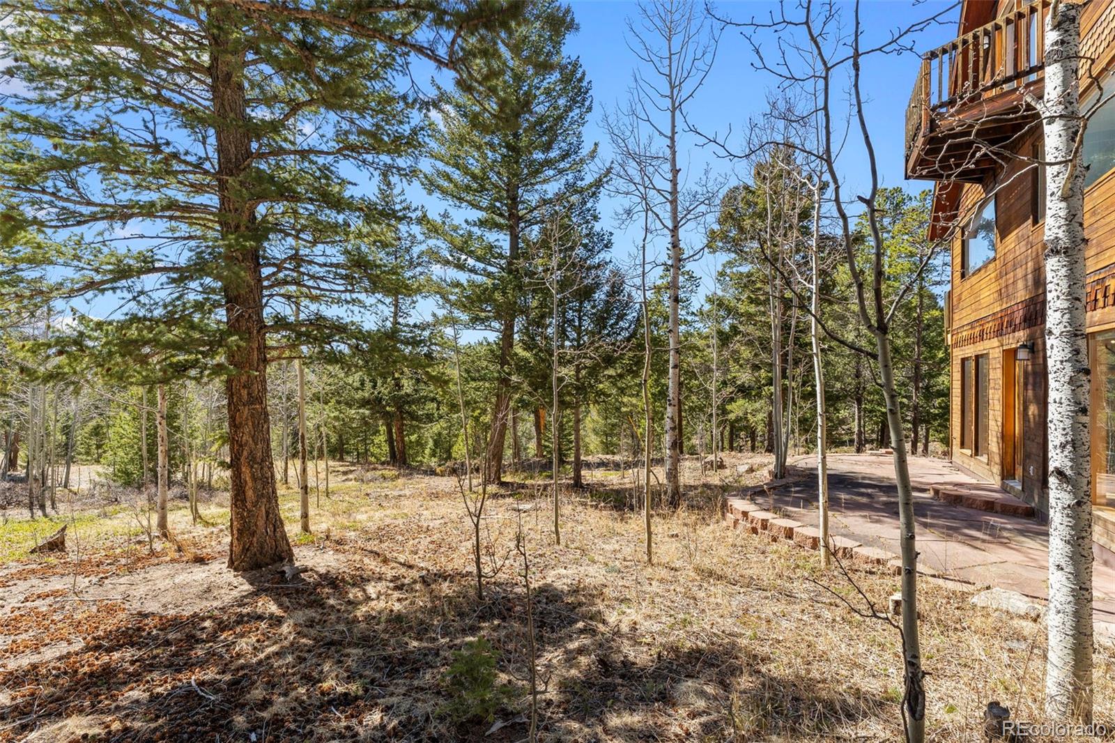 MLS Image #29 for 1856  ridge road,nederland, Colorado