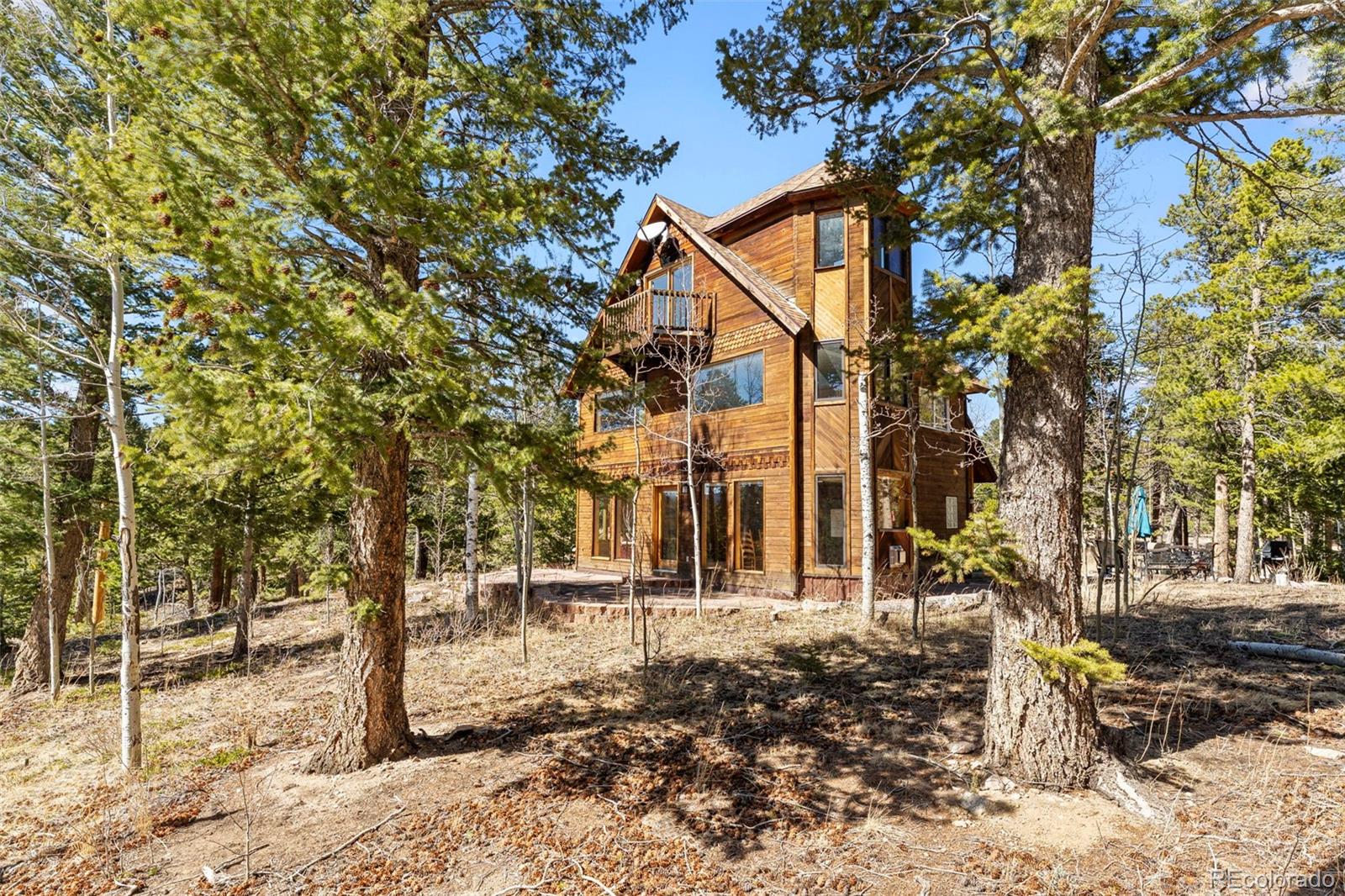 MLS Image #30 for 1856  ridge road,nederland, Colorado