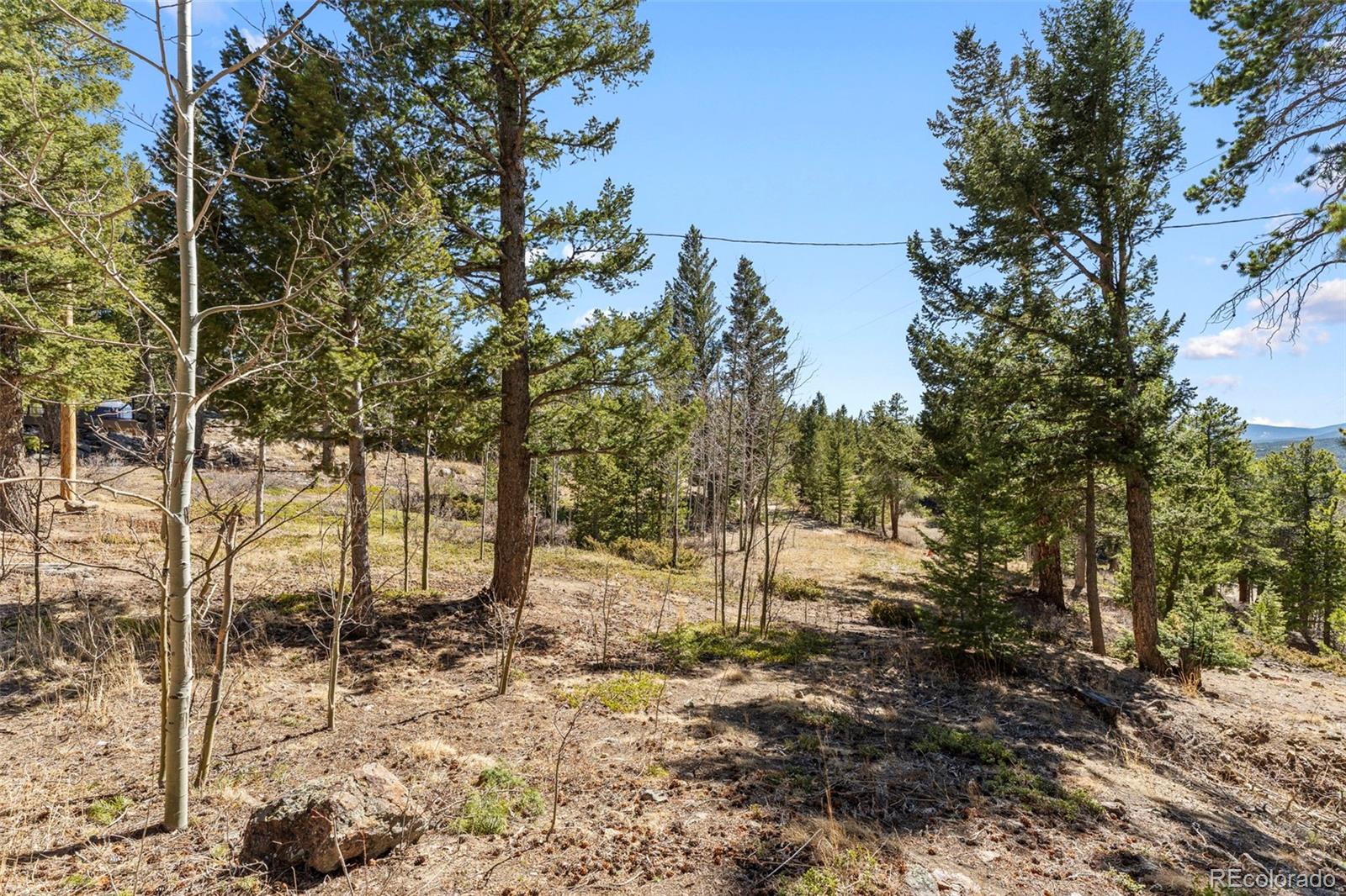 MLS Image #39 for 1856  ridge road,nederland, Colorado