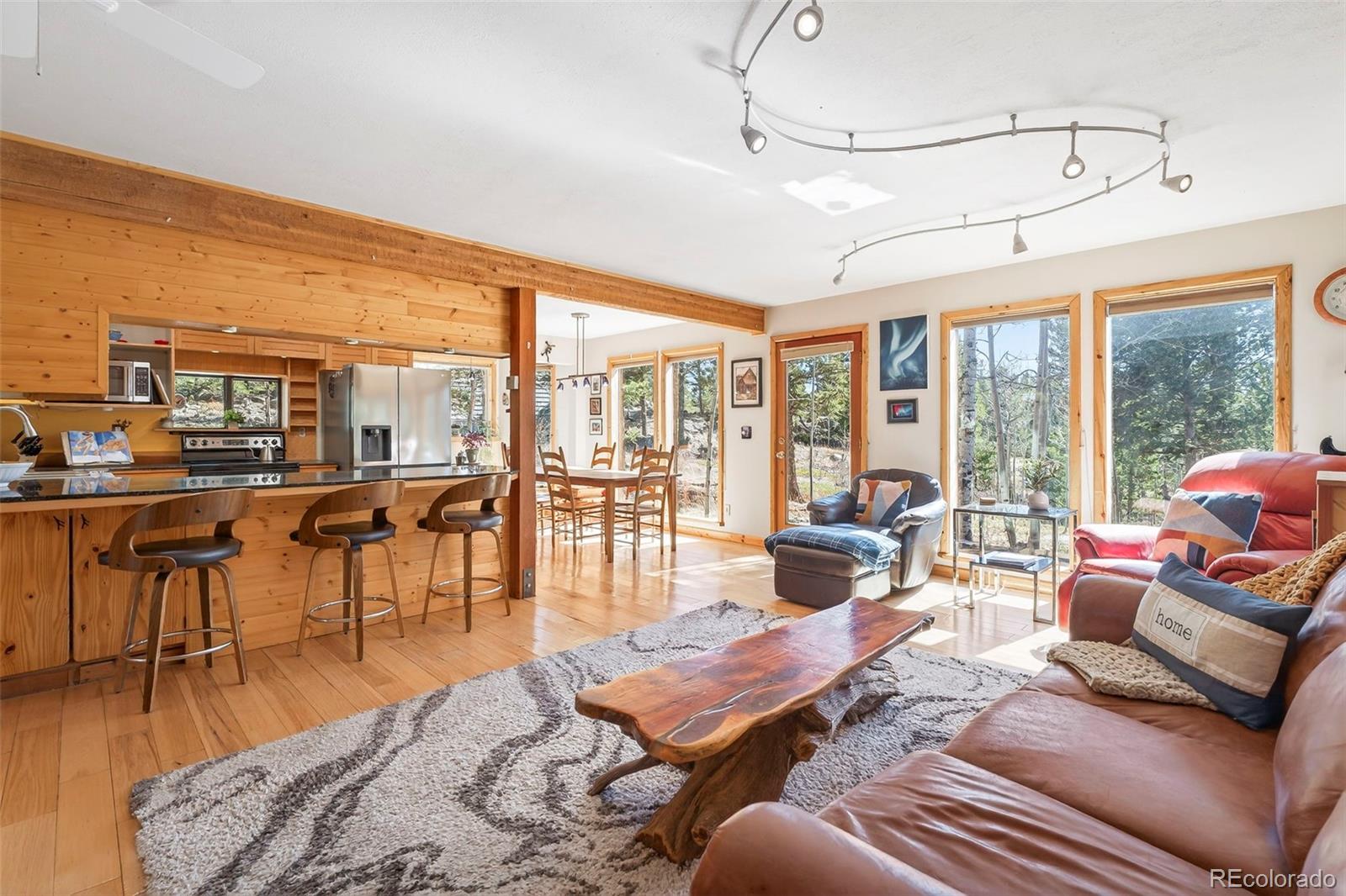 MLS Image #4 for 1856  ridge road,nederland, Colorado