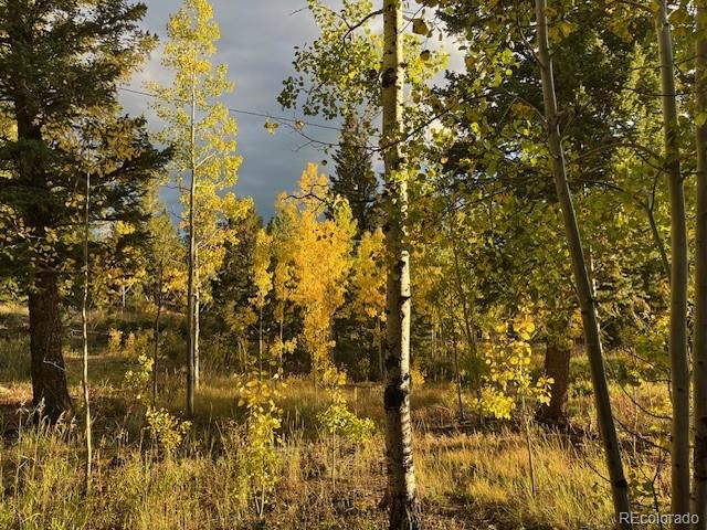 MLS Image #40 for 1856  ridge road,nederland, Colorado