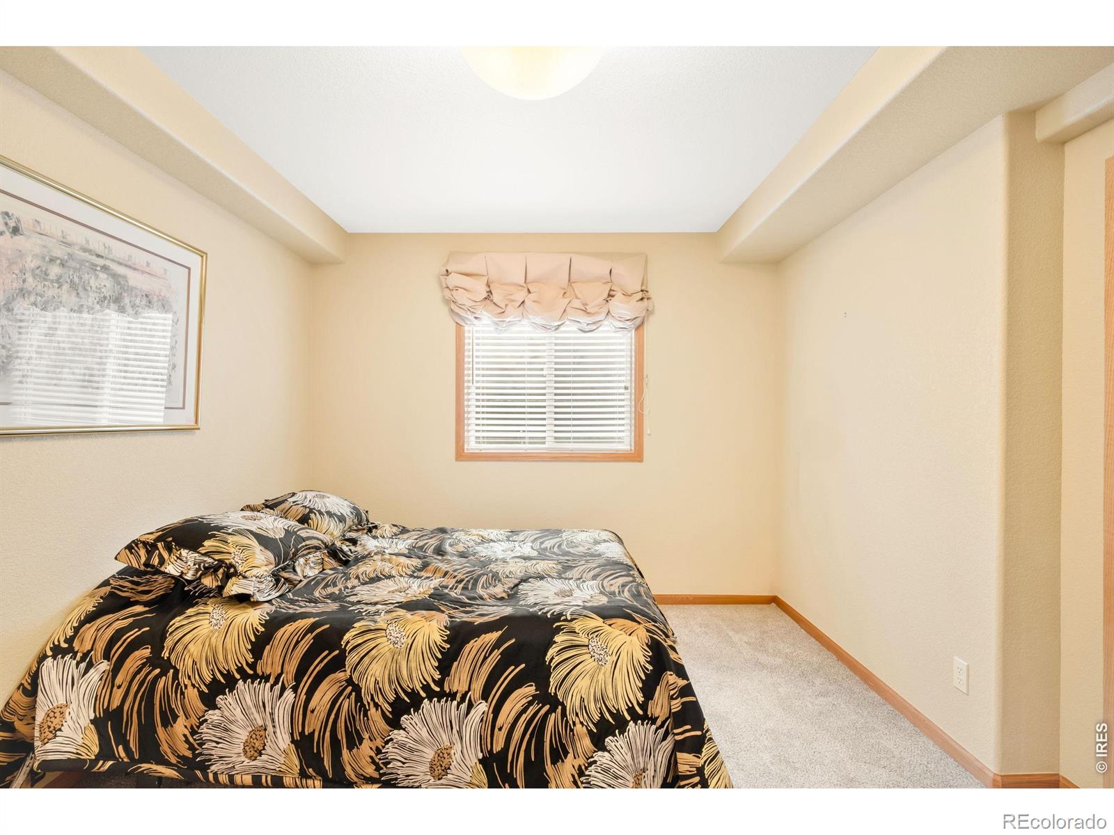 MLS Image #36 for 4677  palmer court,longmont, Colorado