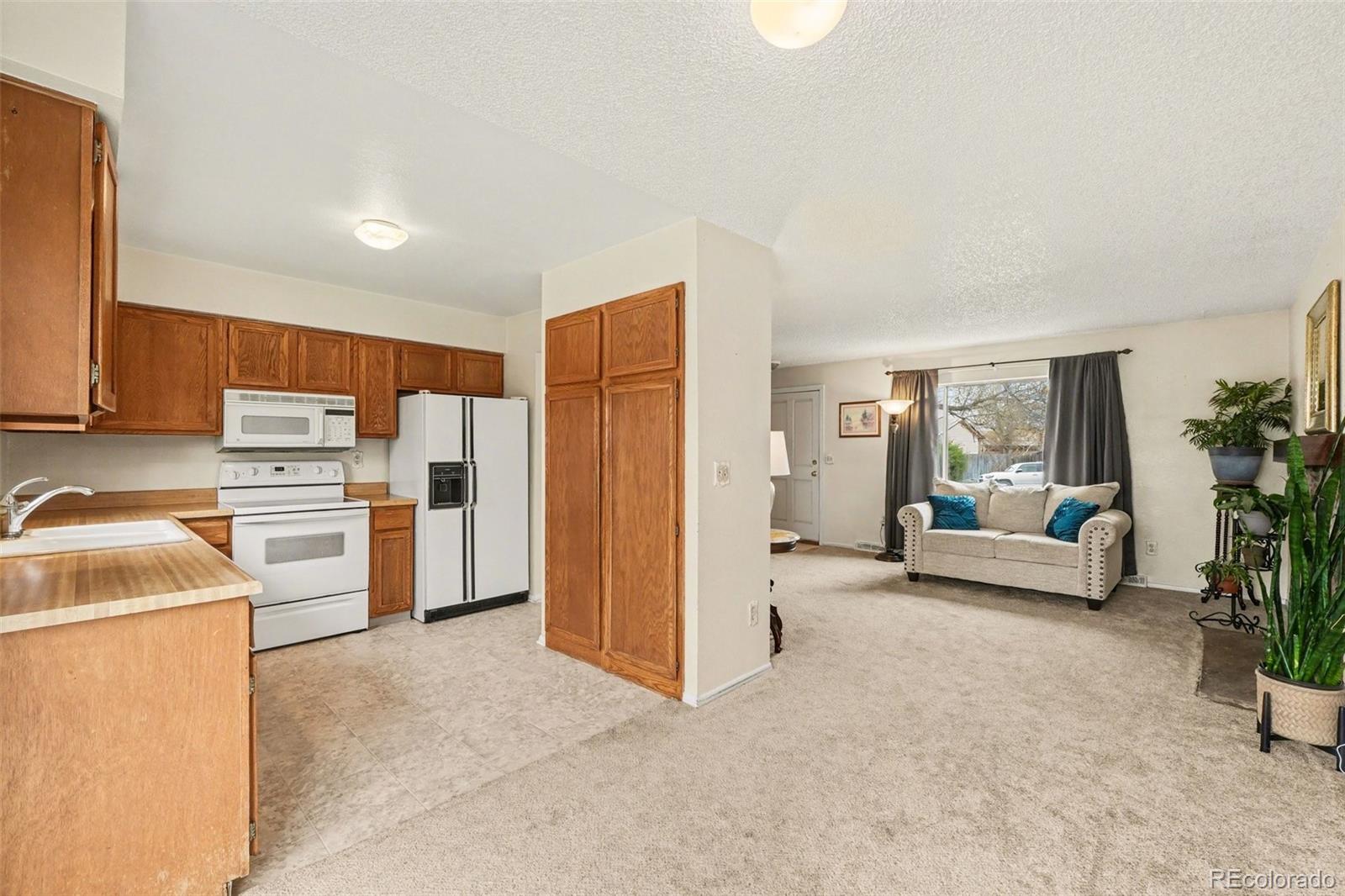 MLS Image #4 for 11055  dahlia court,thornton, Colorado