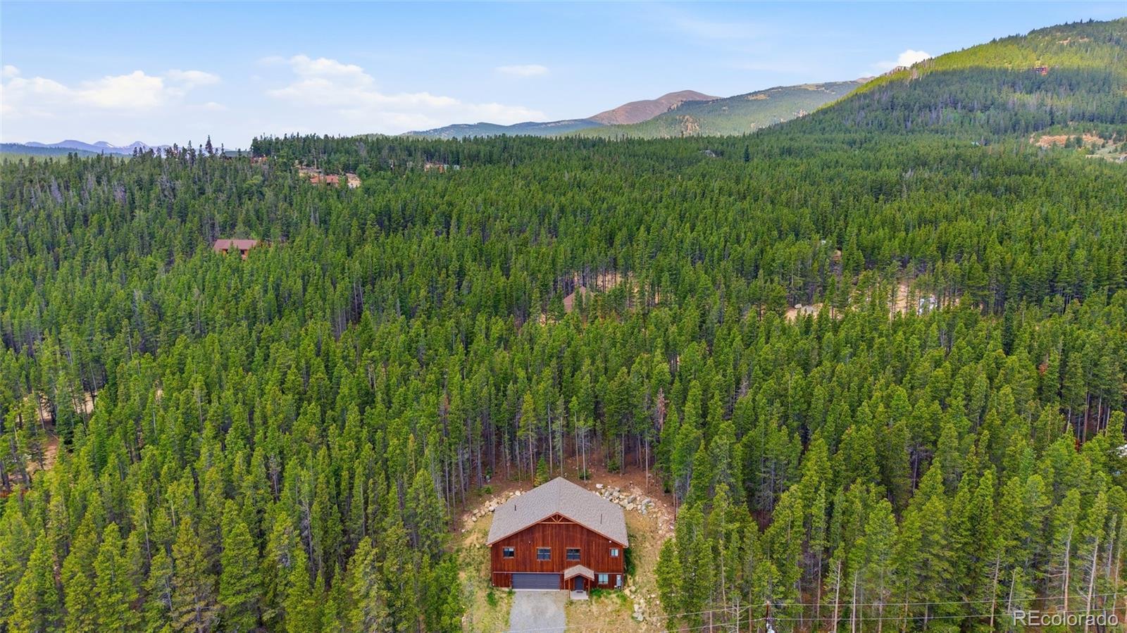 MLS Image #41 for 79  beaver road,idaho springs, Colorado