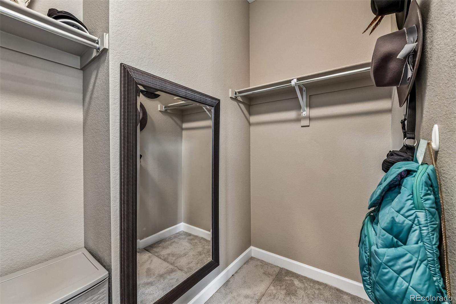 MLS Image #17 for 4889  coltin trail,castle rock, Colorado