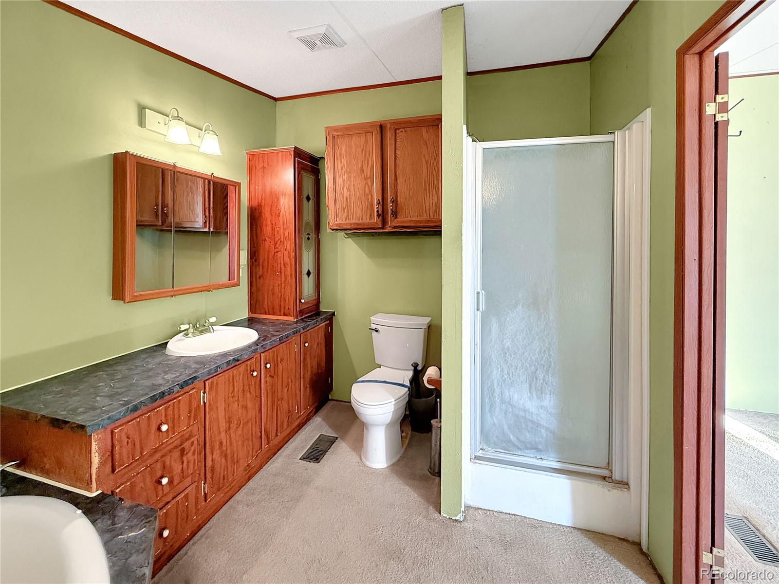 MLS Image #18 for 104  pine street,arriba, Colorado