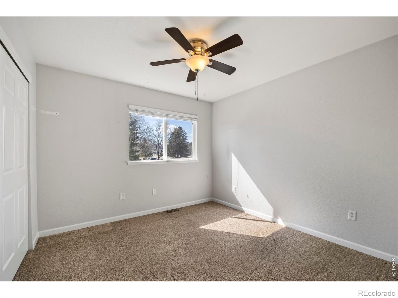 MLS Image #11 for 3005  ross drive,fort collins, Colorado