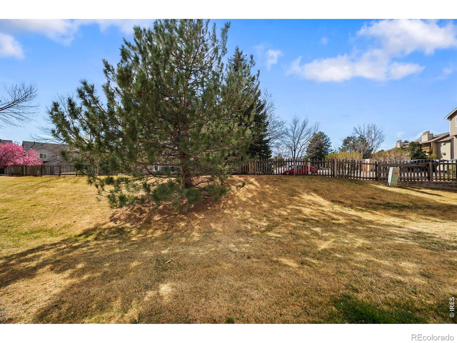 MLS Image #20 for 3005  ross drive,fort collins, Colorado