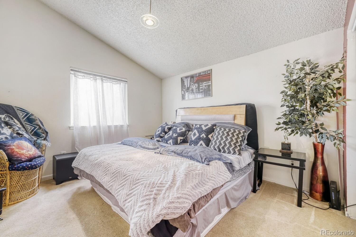 MLS Image #8 for 4784  chandler court,denver, Colorado