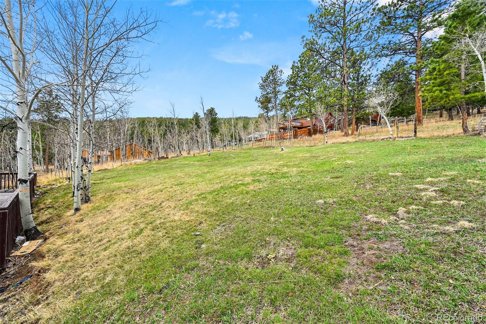 MLS Image #26 for 312 s pine drive,bailey, Colorado