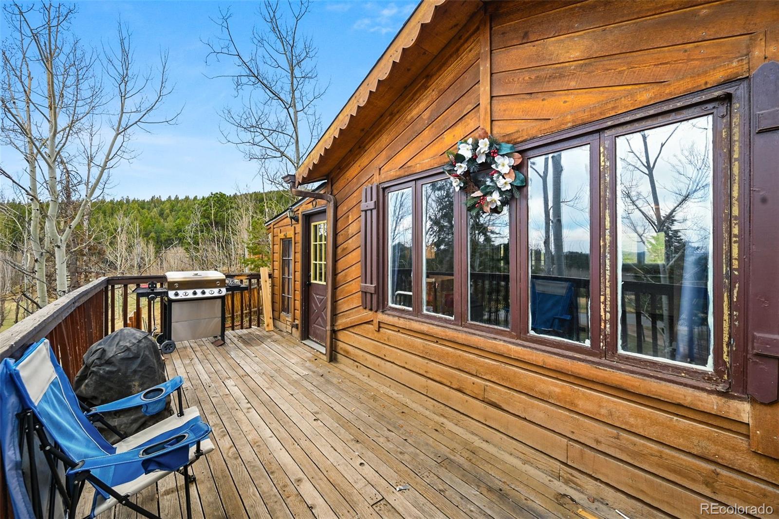 MLS Image #3 for 312 s pine drive,bailey, Colorado