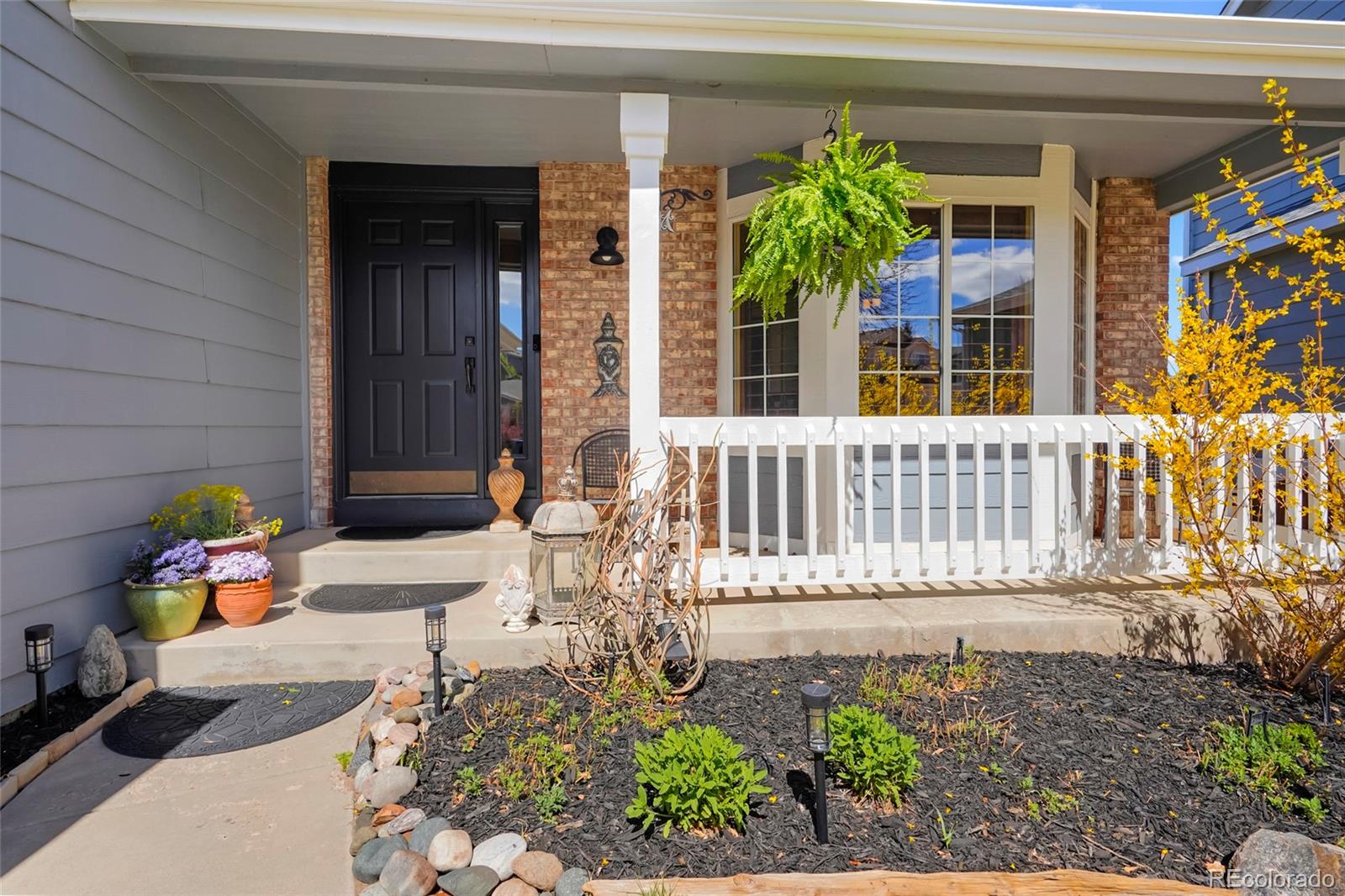 MLS Image #2 for 10038  deer creek street,highlands ranch, Colorado