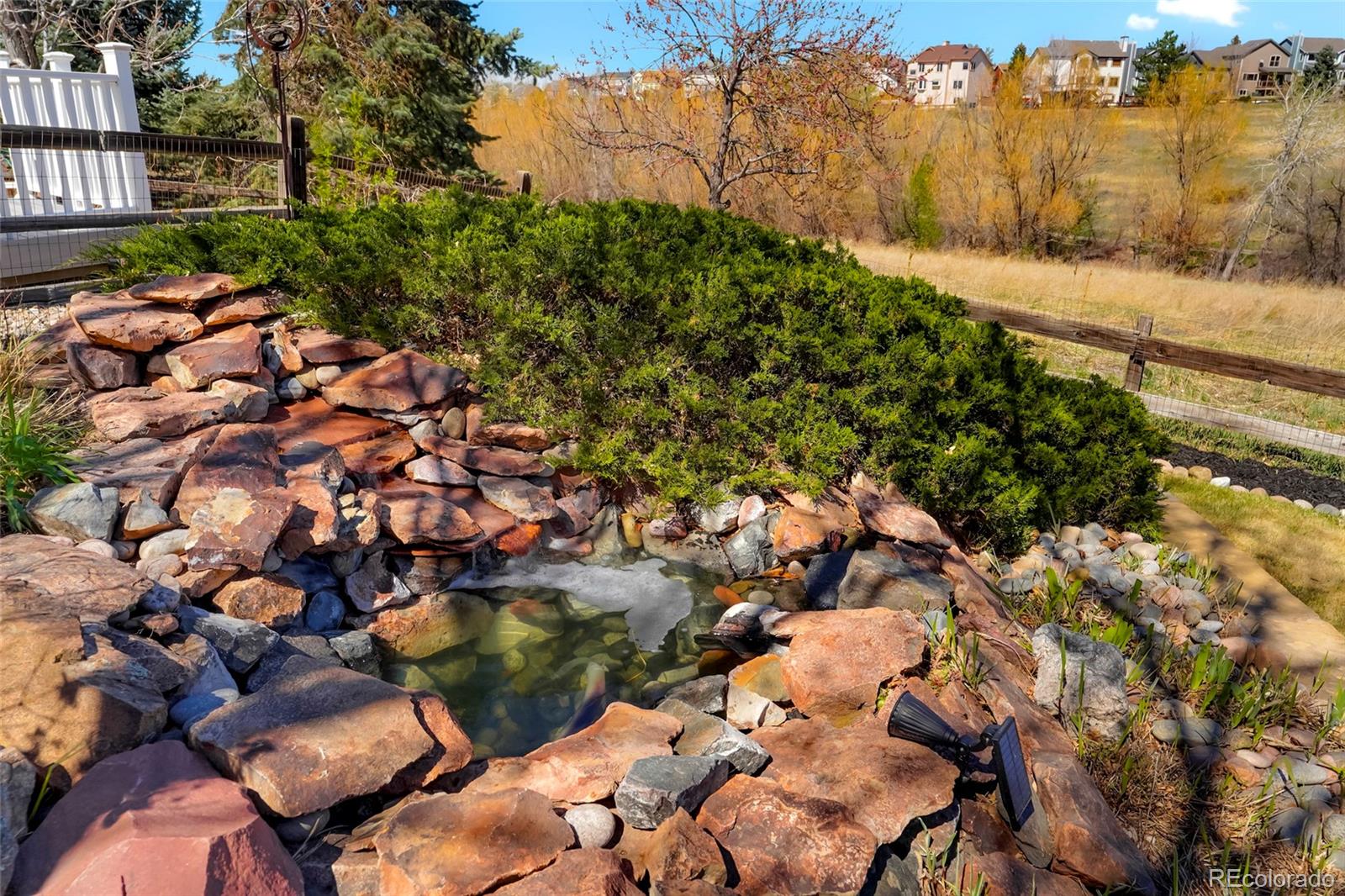 MLS Image #27 for 10038  deer creek street,highlands ranch, Colorado