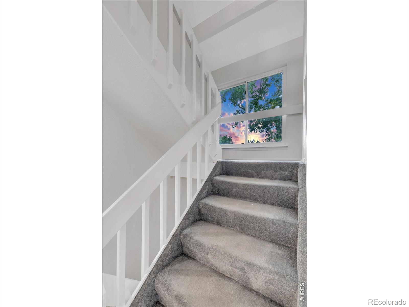 MLS Image #14 for 1304  ceres drive,lafayette, Colorado
