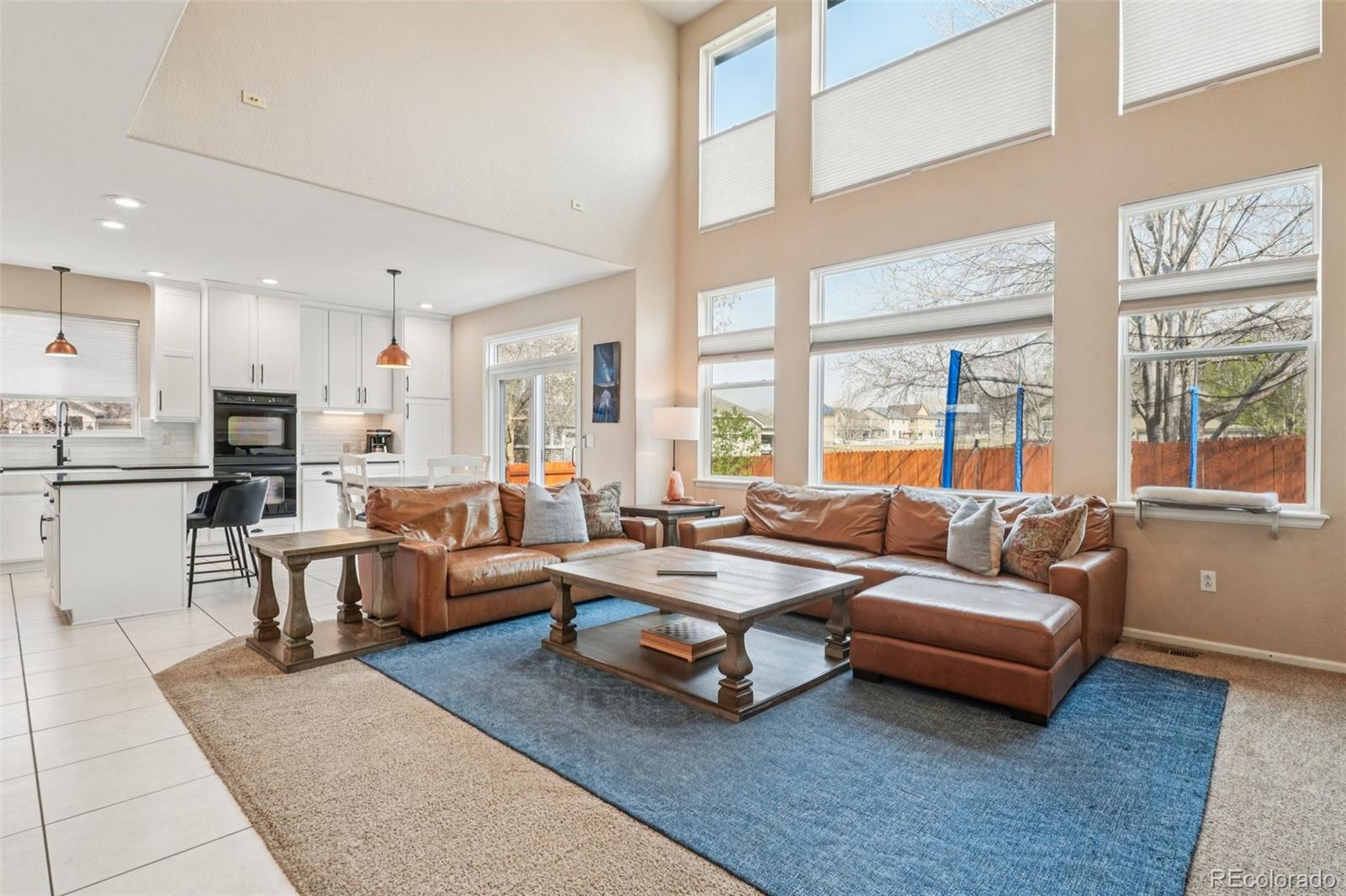 MLS Image #8 for 13966  milwaukee street,thornton, Colorado