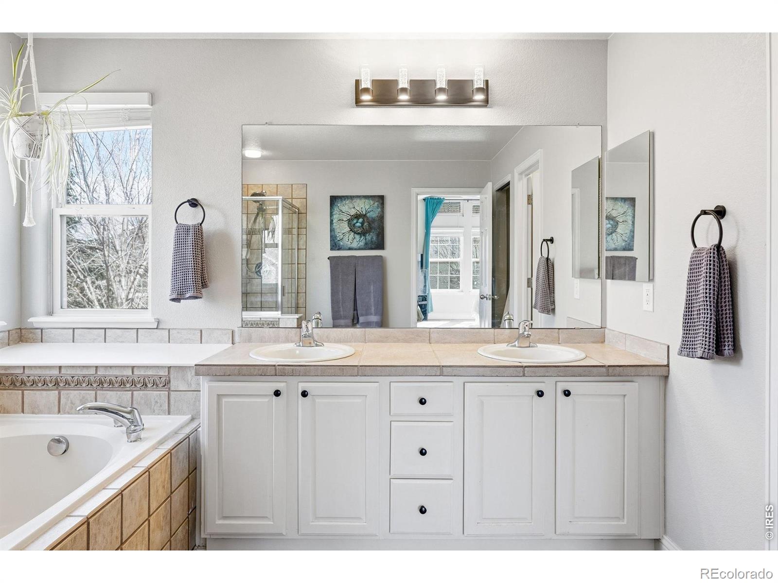 MLS Image #17 for 5204  clover basin drive,longmont, Colorado