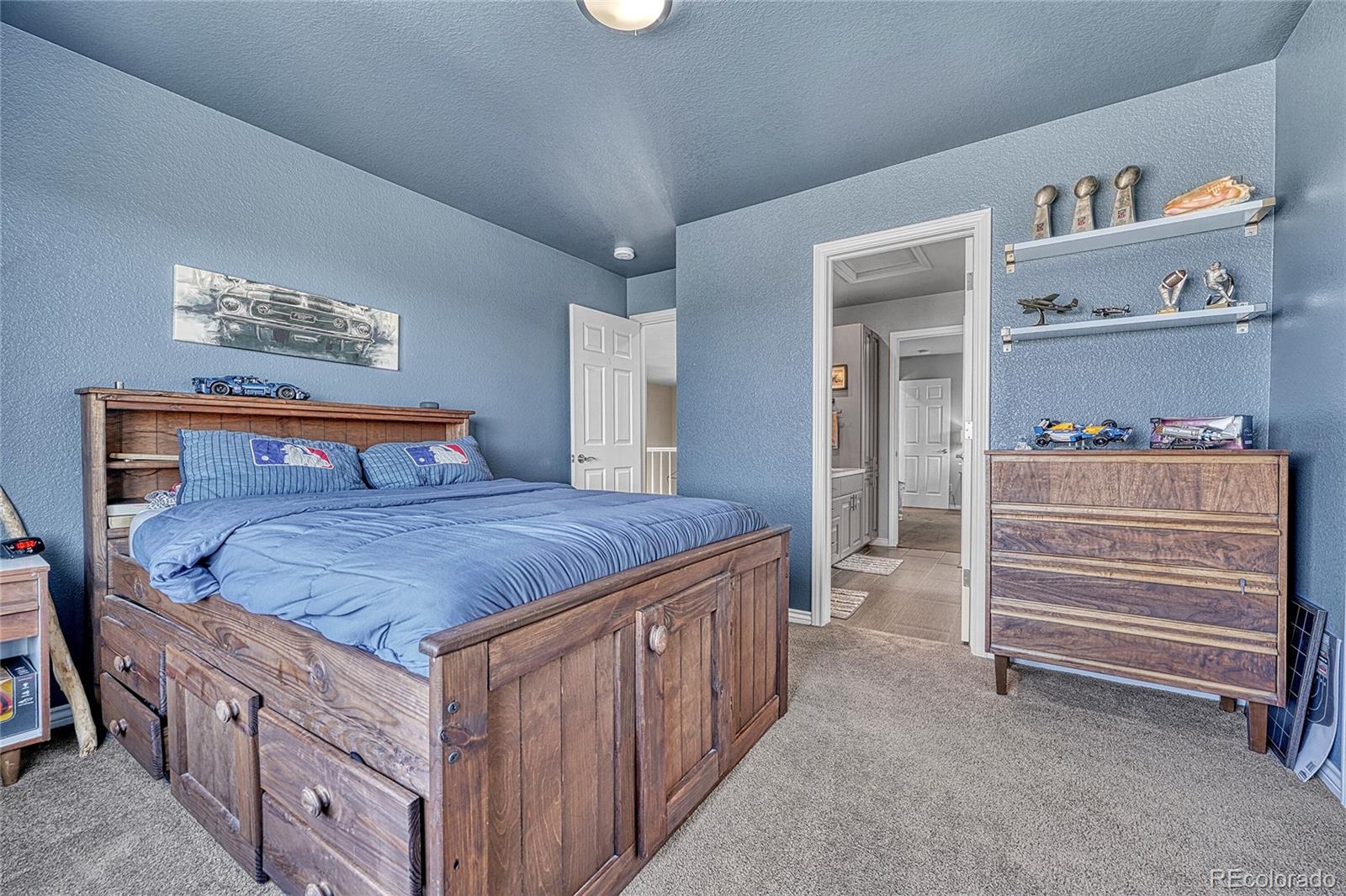 MLS Image #26 for 9859  eliza court,highlands ranch, Colorado