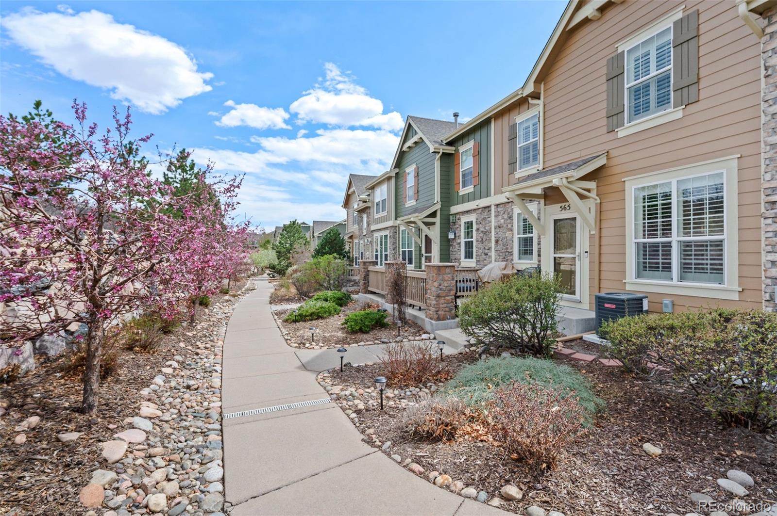 MLS Image #1 for 565  hanging rock place ,castle rock, Colorado
