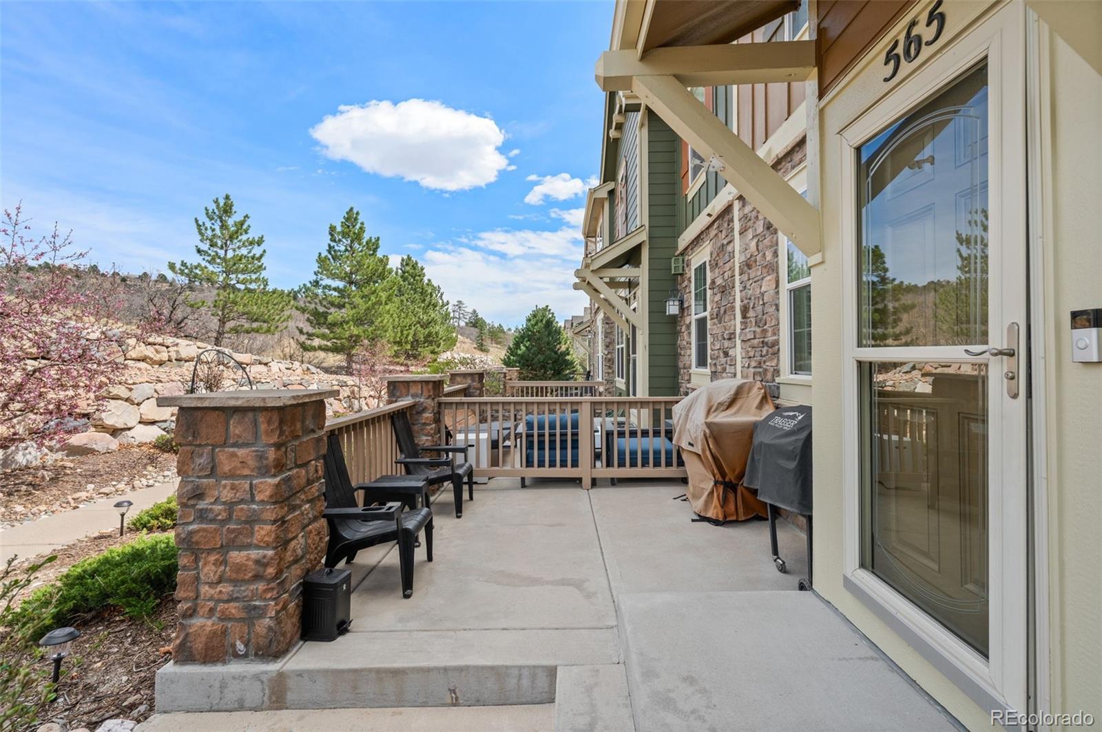 MLS Image #4 for 565  hanging rock place ,castle rock, Colorado