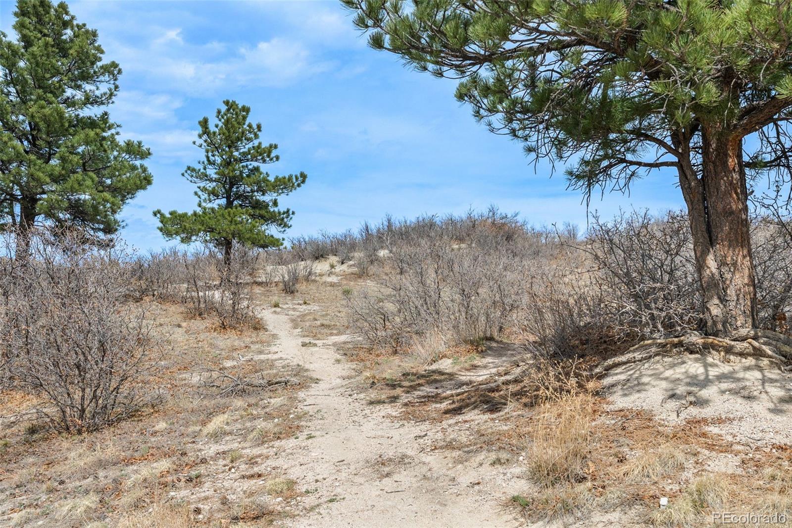 MLS Image #40 for 565  hanging rock place ,castle rock, Colorado