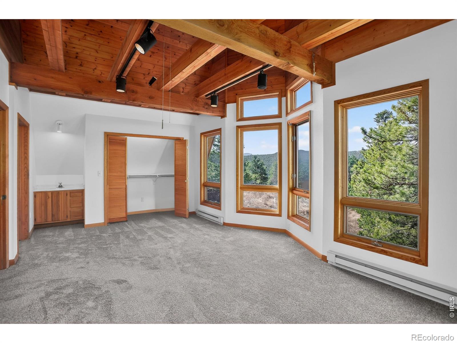 MLS Image #40 for 4030  ridge road,nederland, Colorado