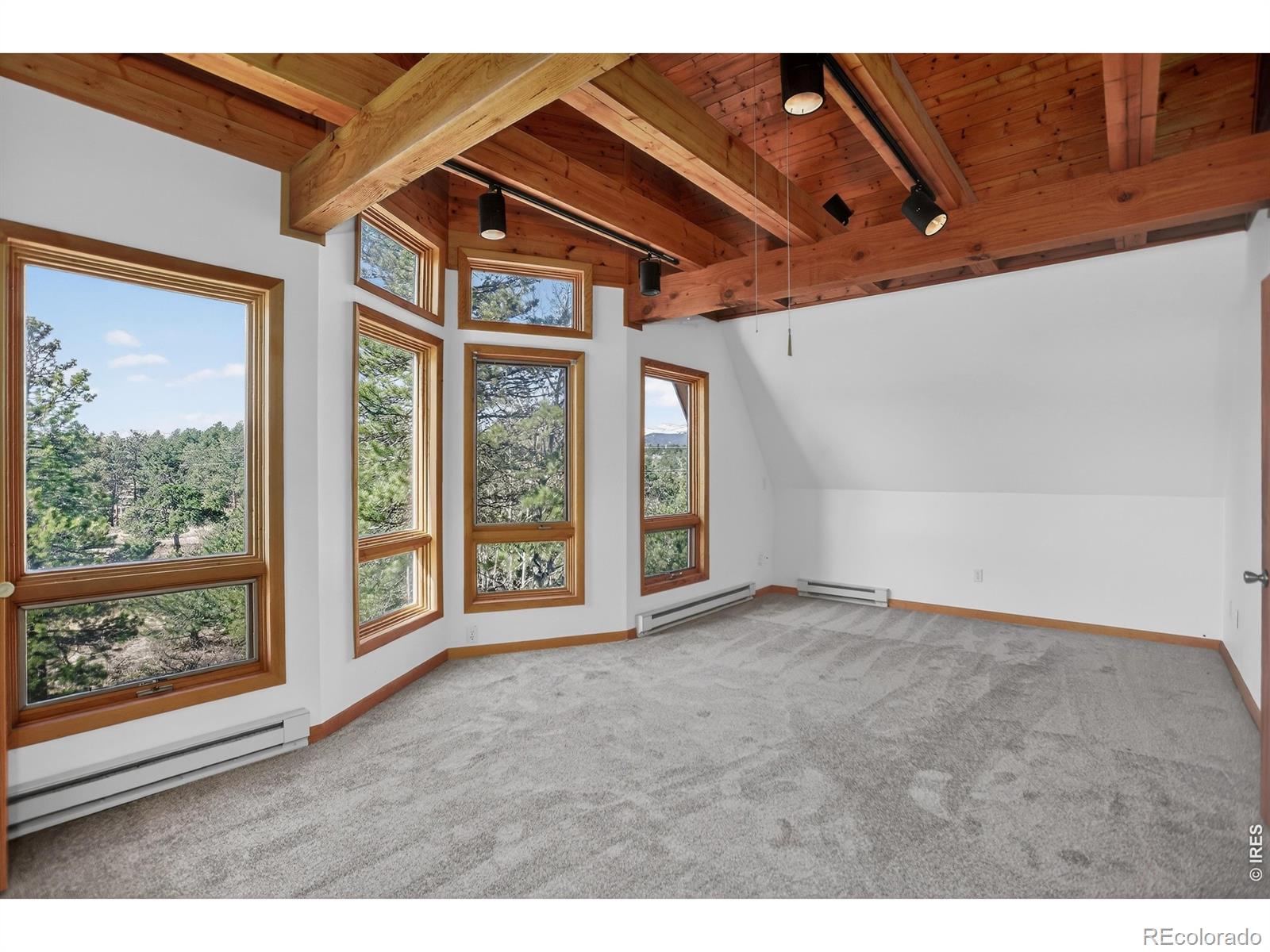 MLS Image #41 for 4030  ridge road,nederland, Colorado