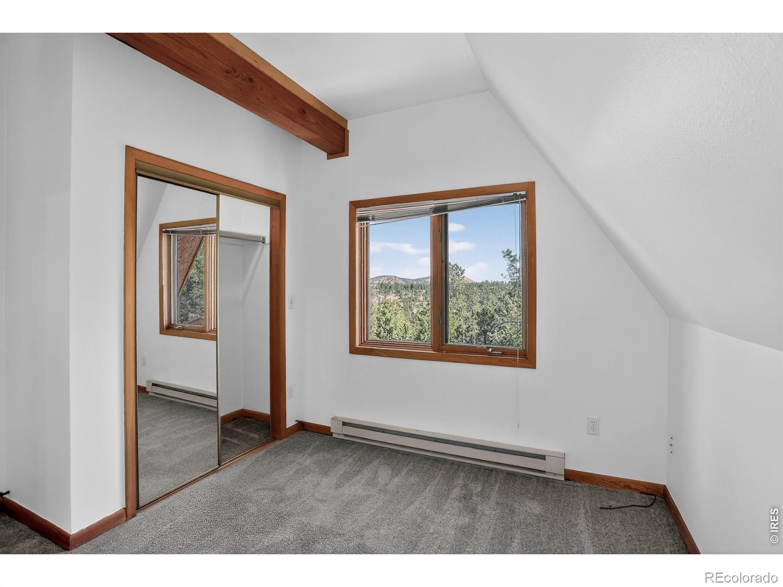 MLS Image #43 for 4030  ridge road,nederland, Colorado