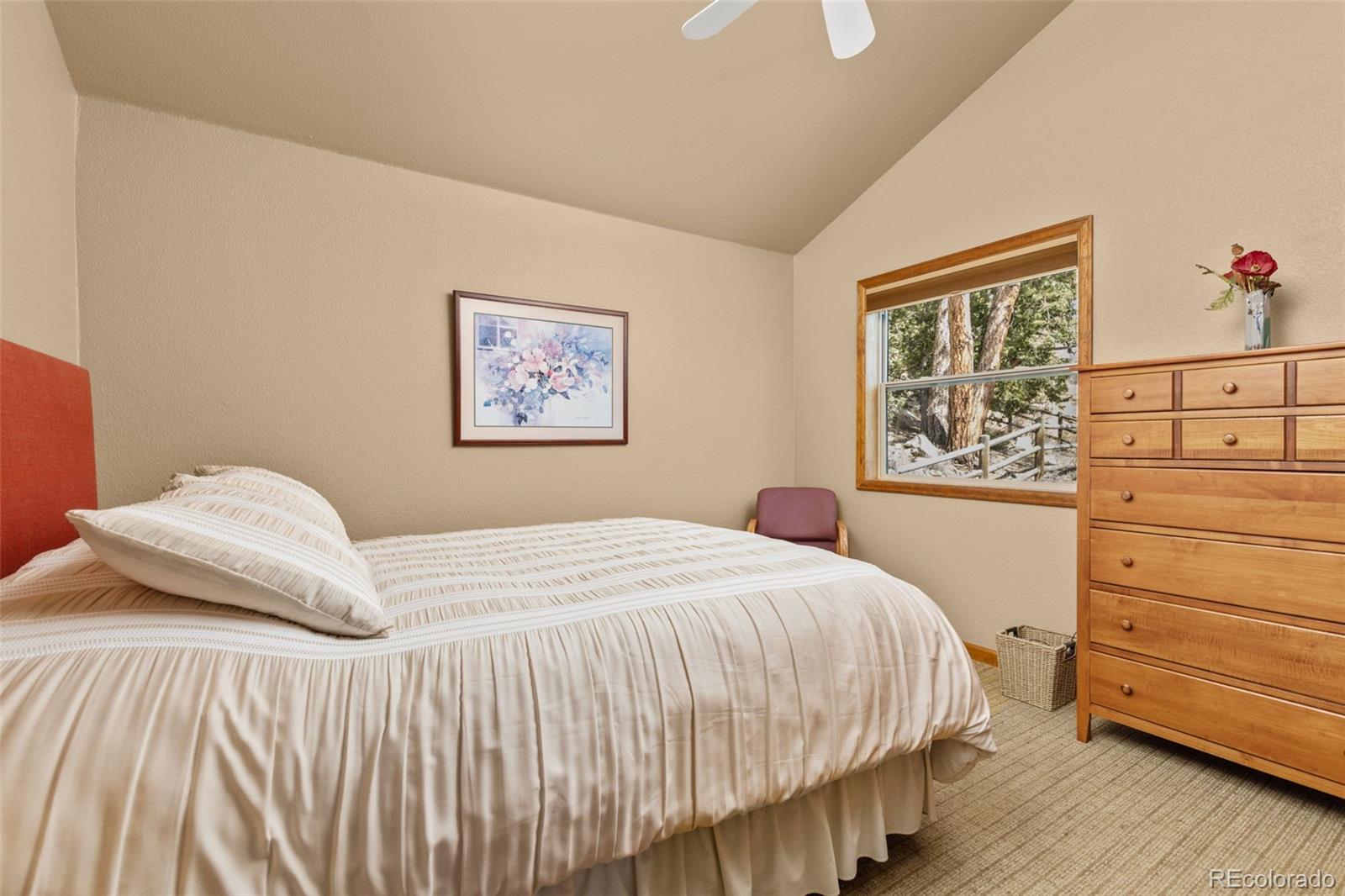 MLS Image #18 for 22081  bardwell avenue,conifer, Colorado