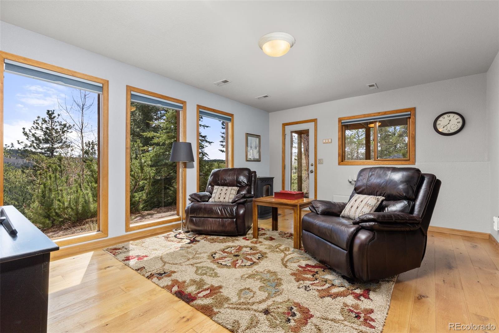MLS Image #20 for 22081  bardwell avenue,conifer, Colorado